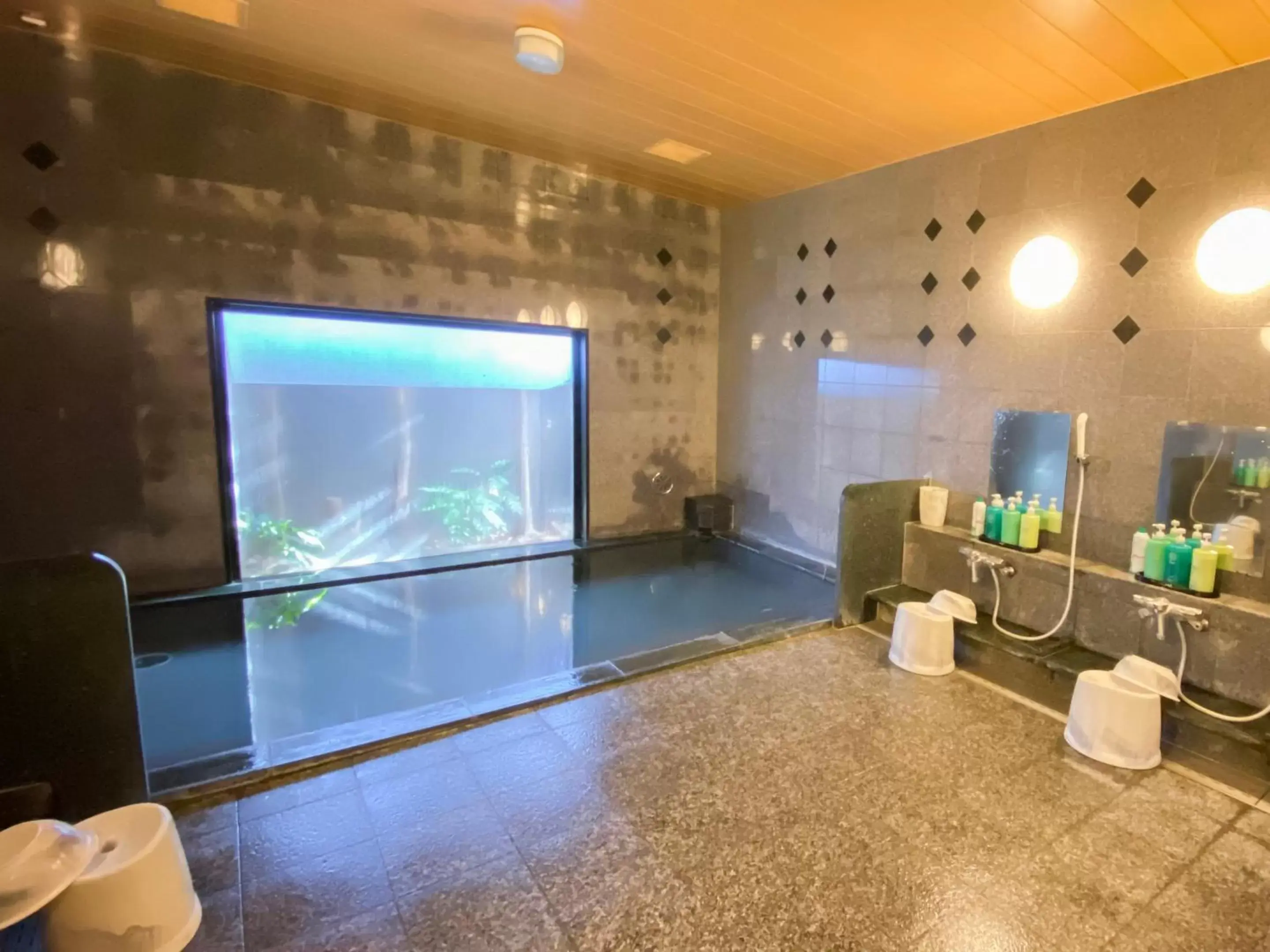 Public Bath, Swimming Pool in Hotel Route-Inn Sanofujioka Inter