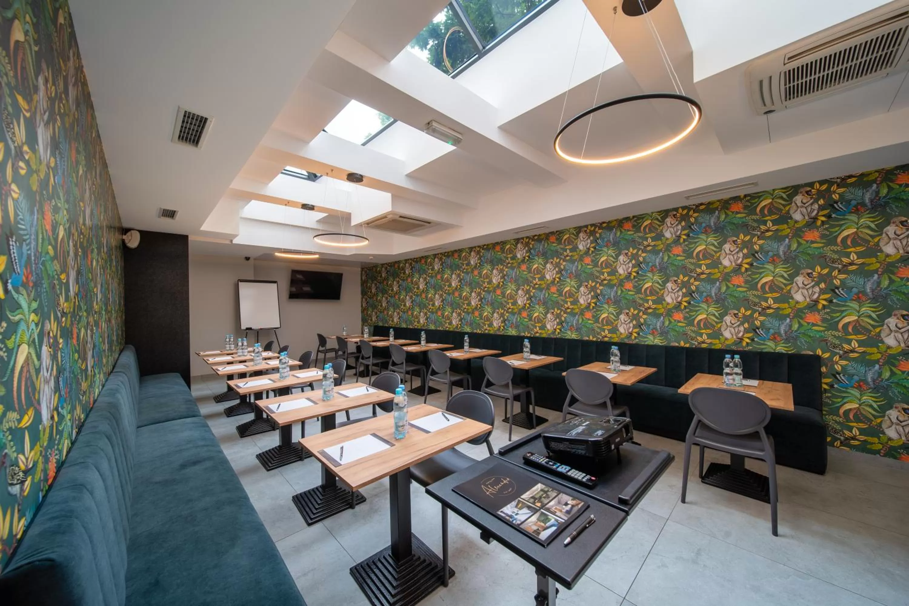 TV and multimedia in Hotel Alexander