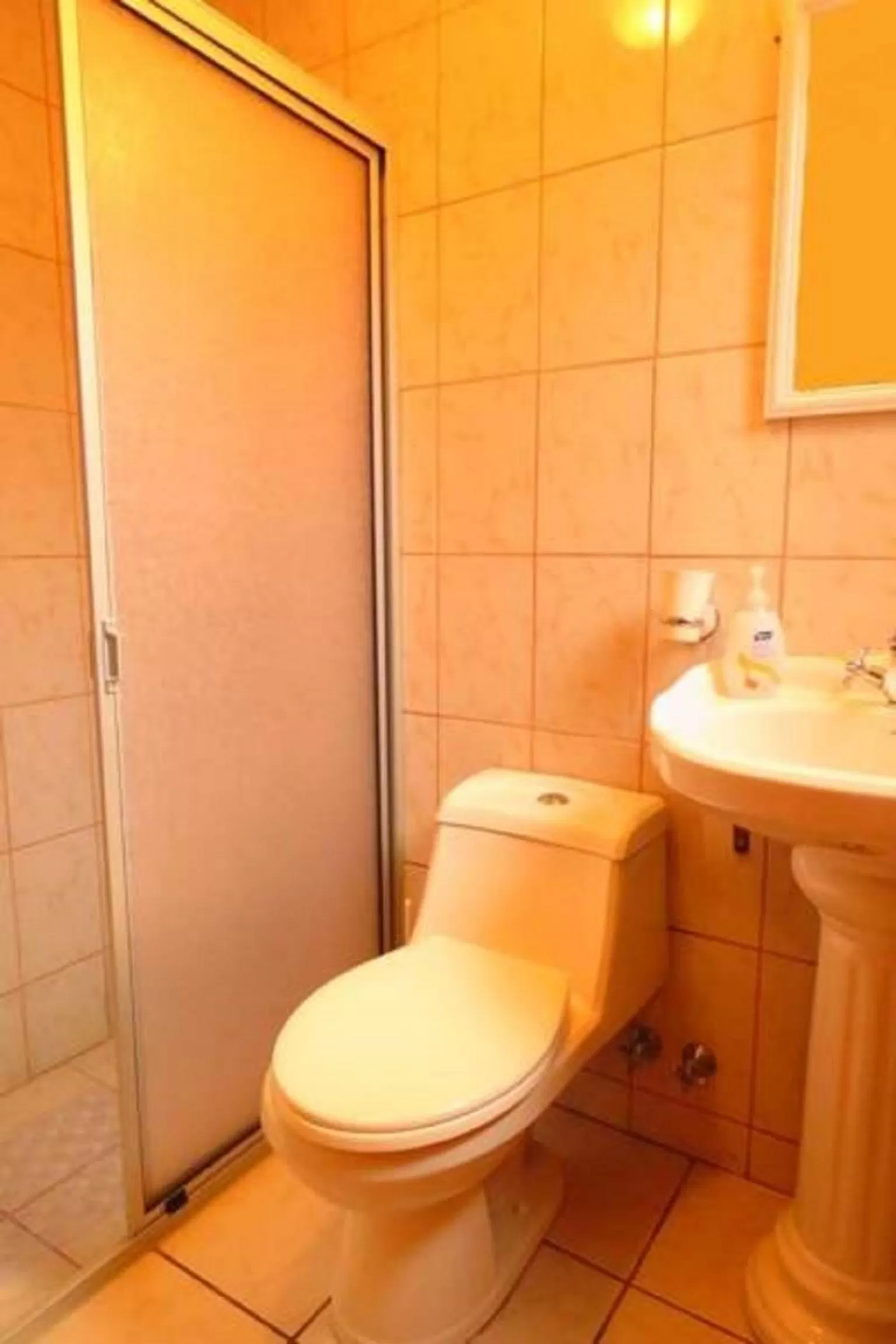 Bathroom in Apart-Hotel Colonia-Königsberg UBICADO COSTADO TERMINAL BUSES, RÍO CALLE CALLE CARABINEROS DEPARTAMENTOS COMPLETOS CON AIRE ACONDICIONADO Y ESTACIONAMIENTO