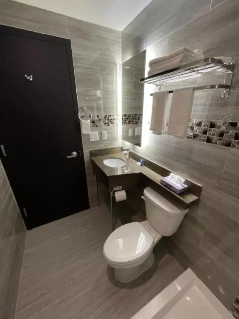 Toilet, Bathroom in Hotel 369 Brooklyn