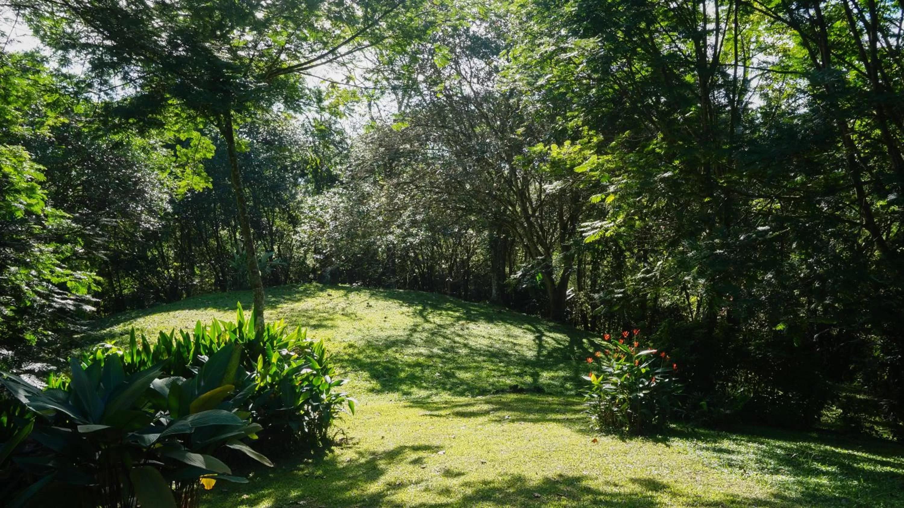 Garden in Hospedaje La Naciente