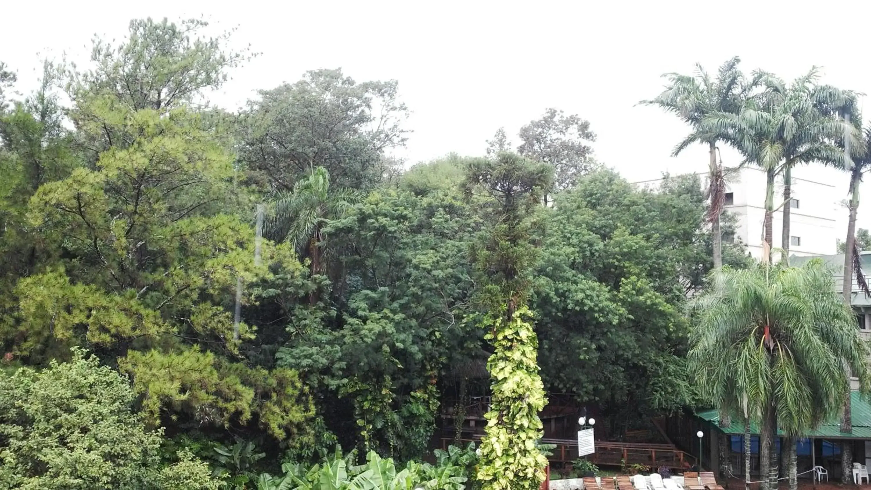 Natural landscape in Hotel El Libertador