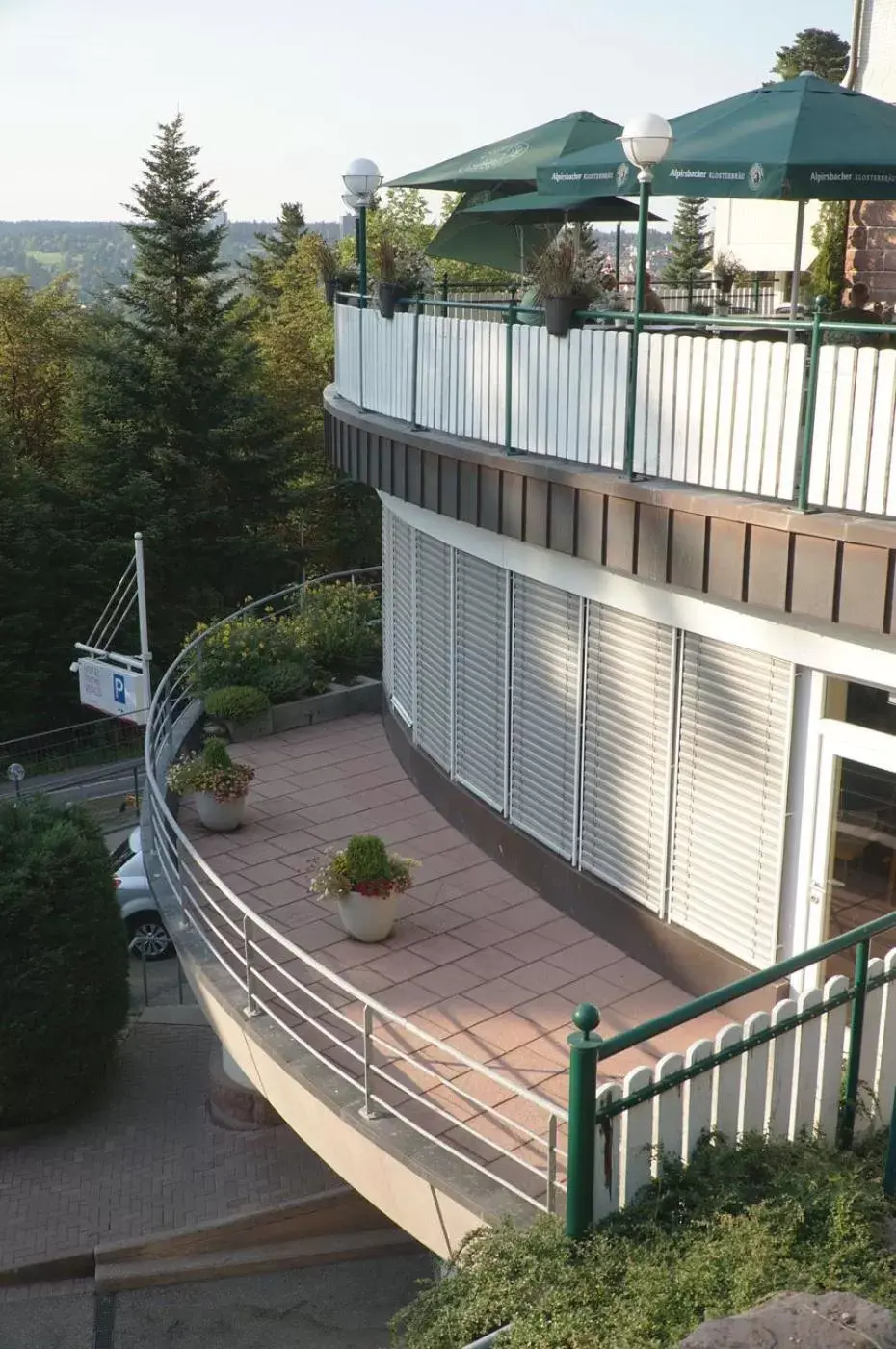 Balcony/Terrace in Hotel Teuchelwald