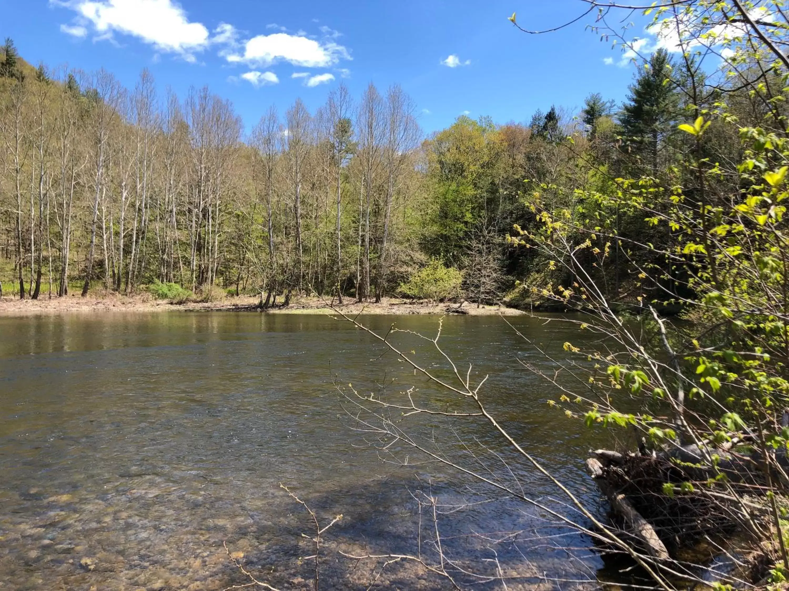 Spring in The Lodge at West River