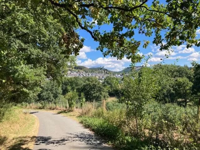 Bed & Breakfast Weisser Stein