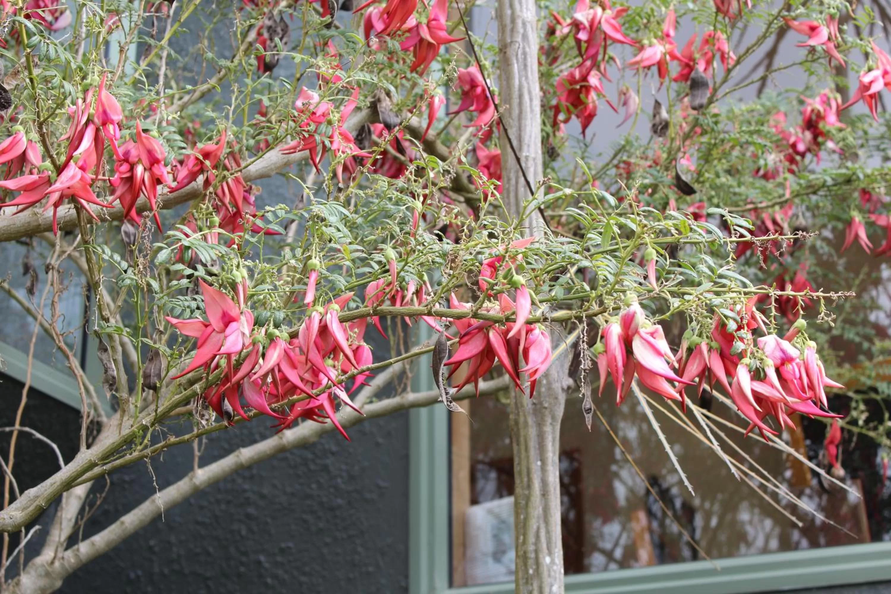 On site in Tui Hideaway