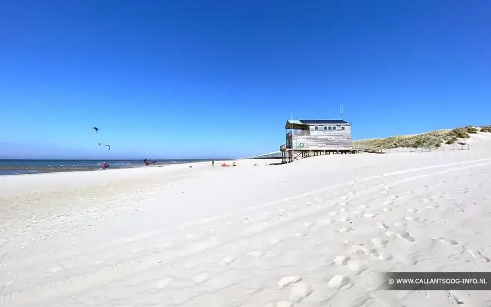 Beach, Winter in De Parel B&B