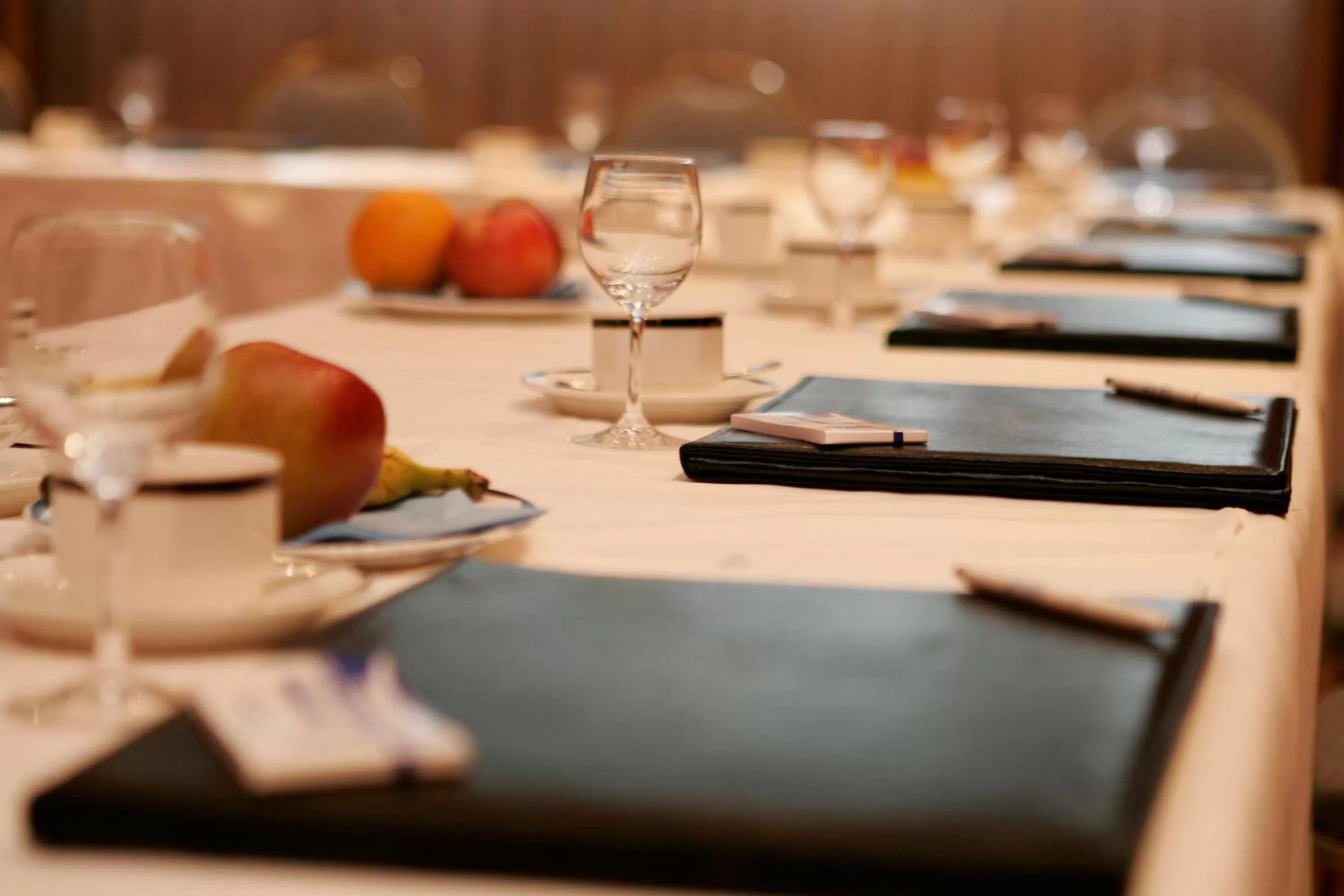 Business facilities in Wyndham Garden Donaueschingen