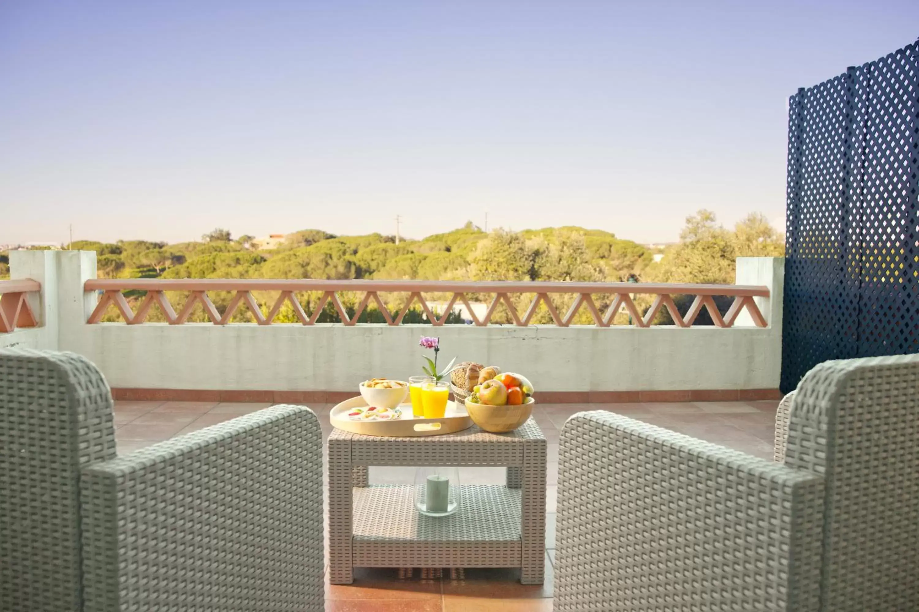 Balcony/Terrace in Cegonha Country Club