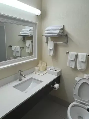 Bathroom in Quality Inn University Area