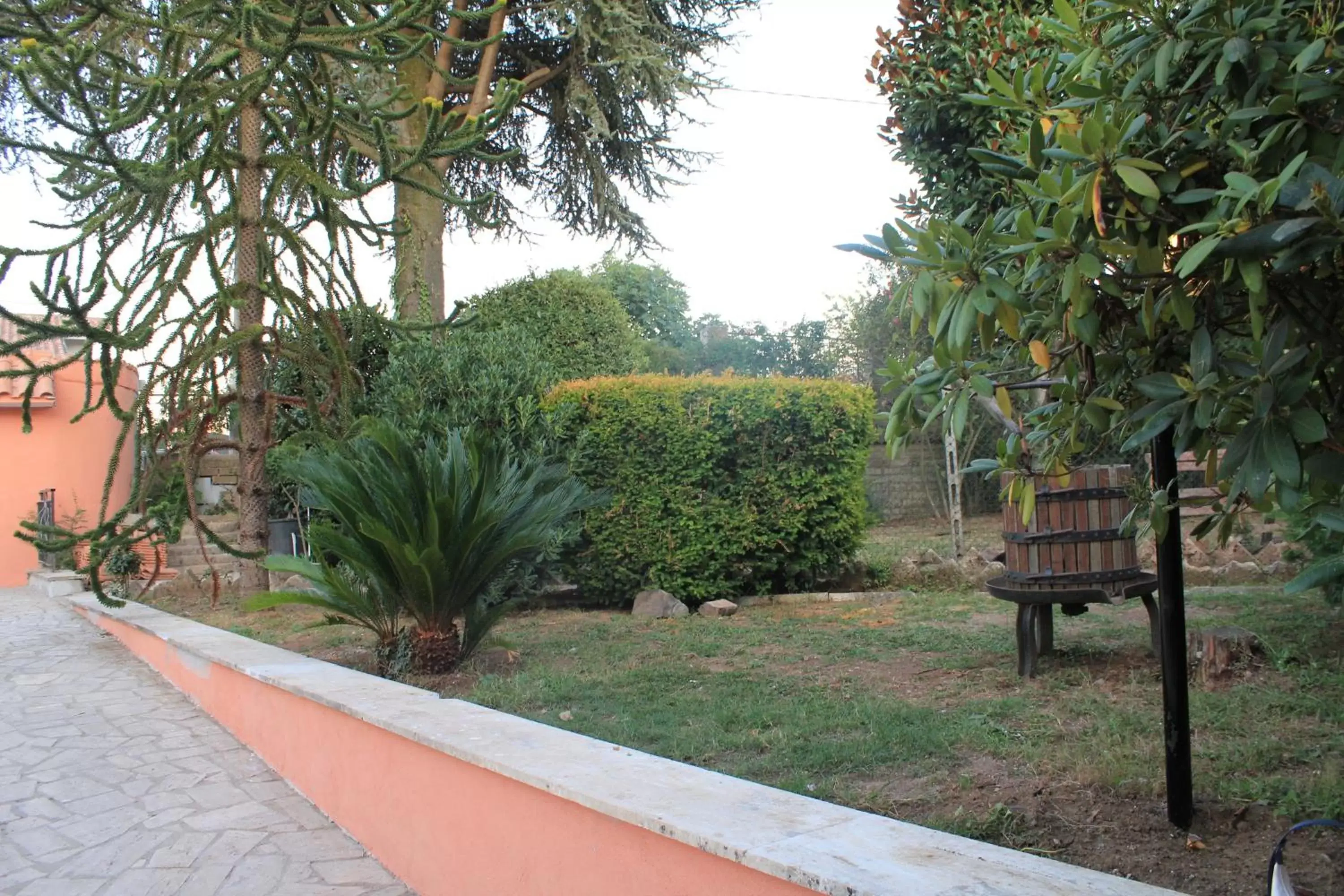 Garden in Il sottosopra