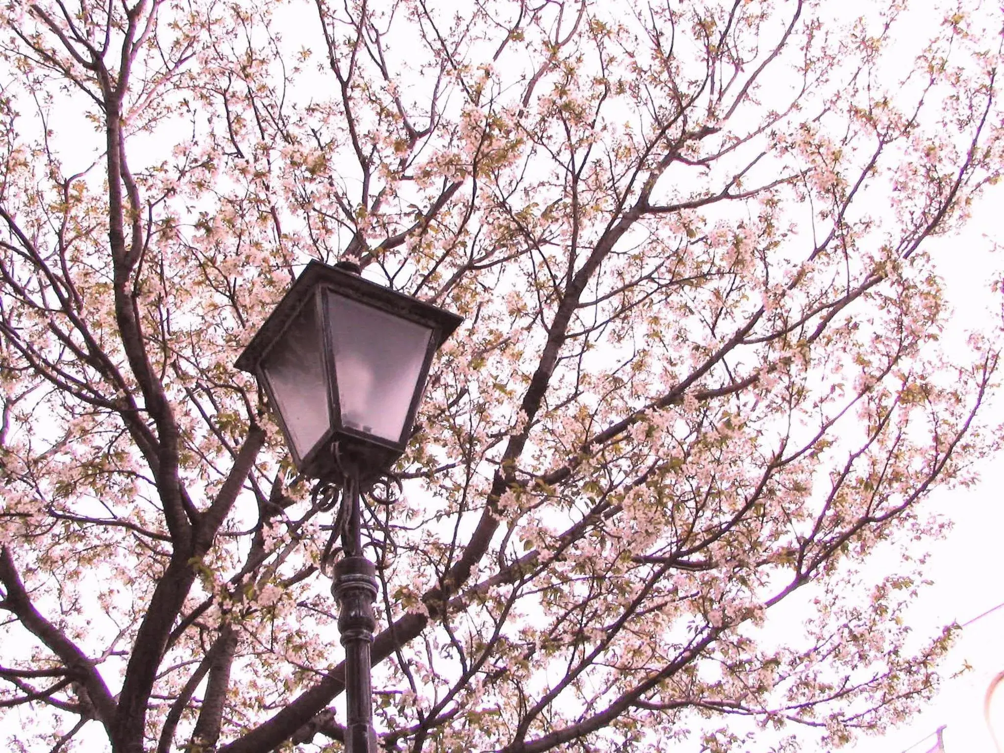 Nearby landmark, Winter in Hotel Resorpia Atami