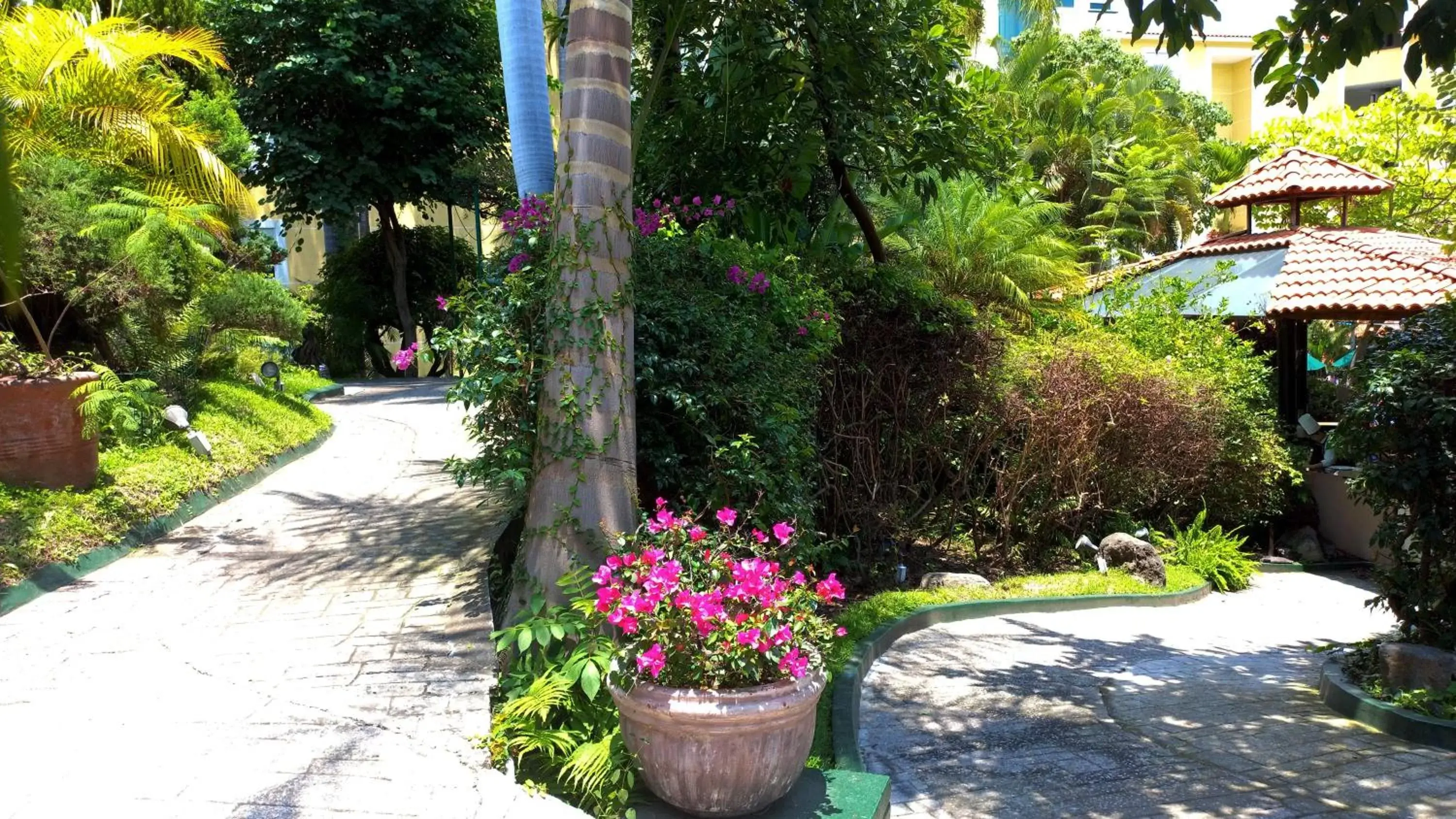 Other, Garden in Holiday Inn Cuernavaca, an IHG Hotel