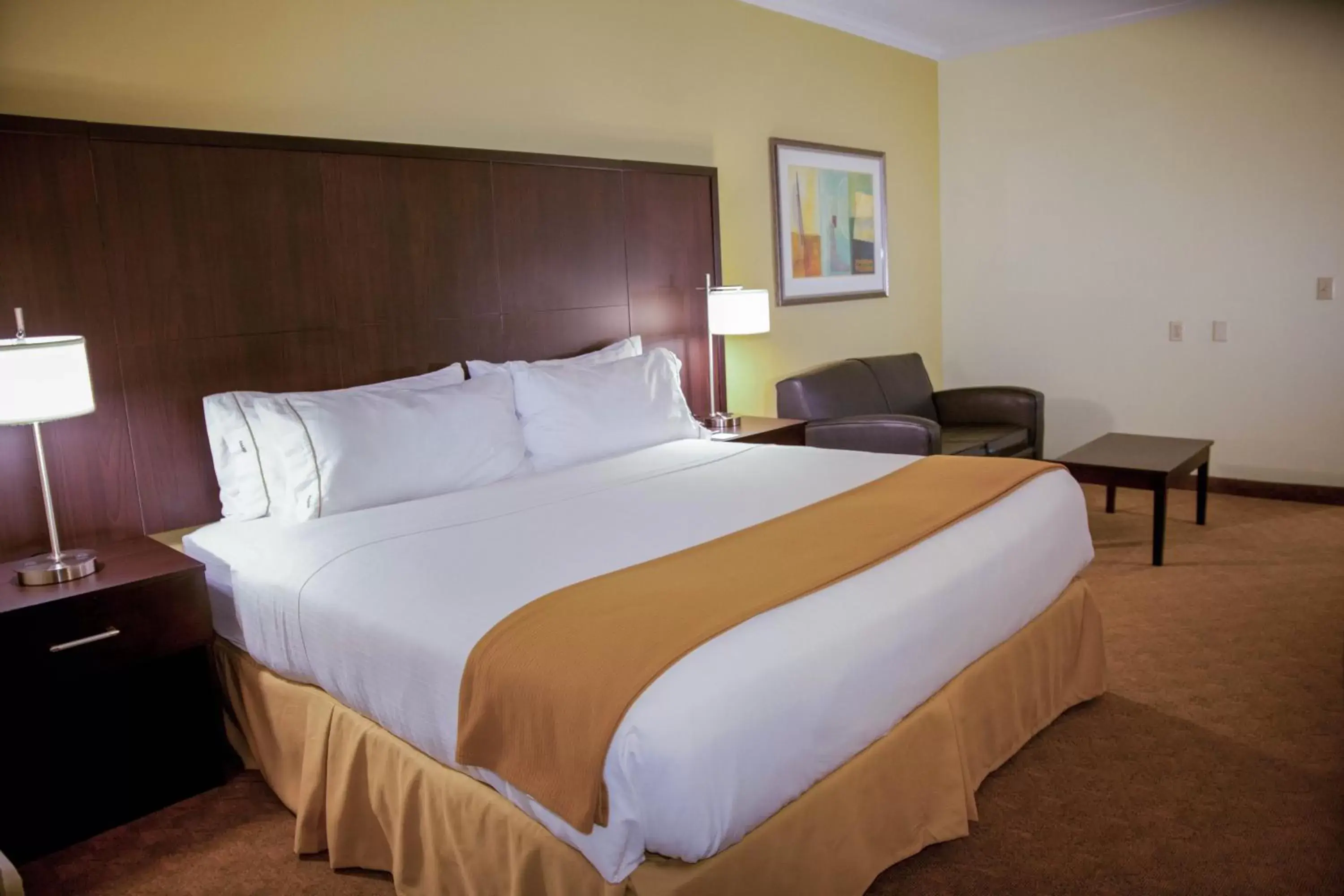 Photo of the whole room, Bed in Holiday Inn Express Hotel & Suites Houston North Intercontinental, an IHG Hotel