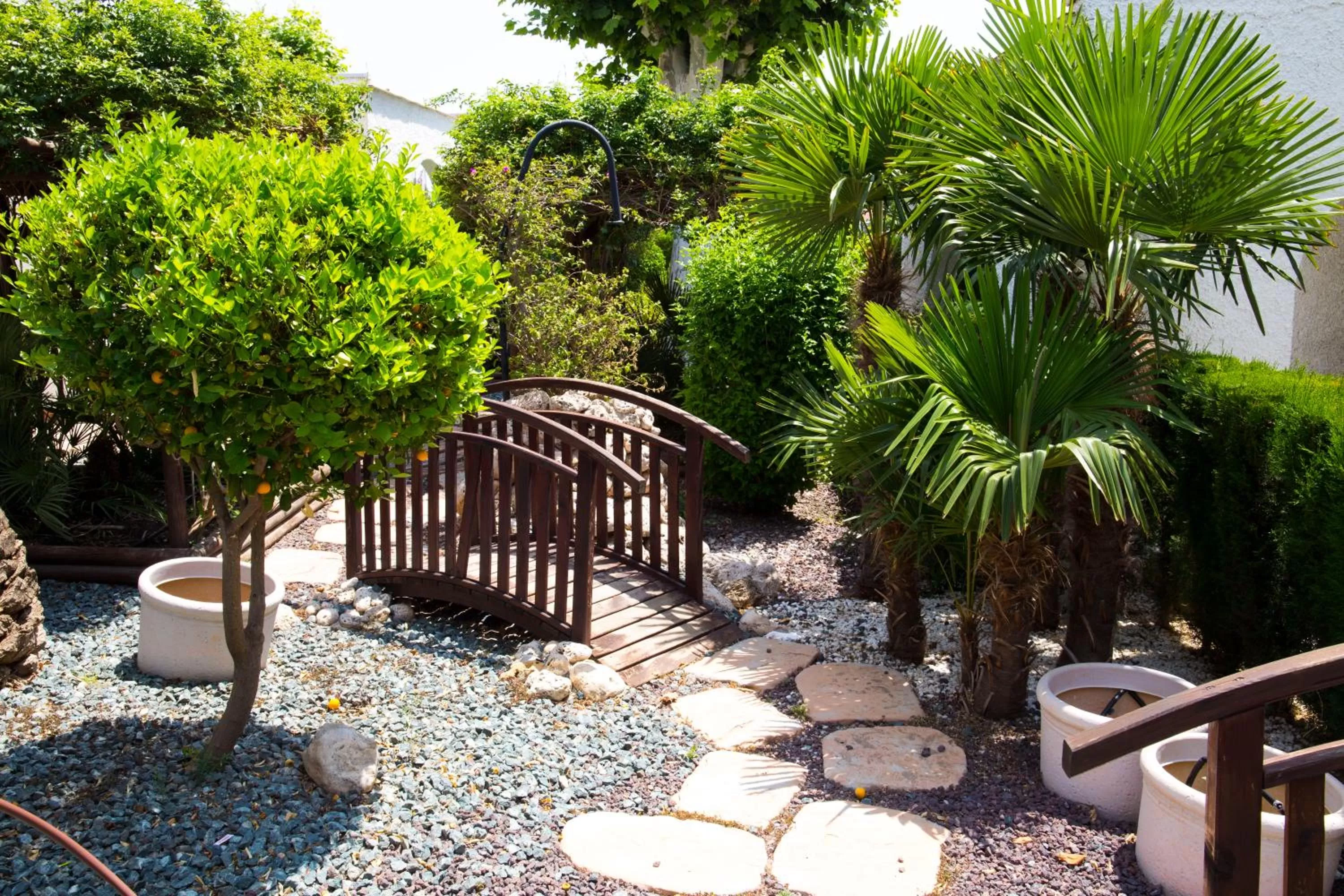 Garden in Hotel La Carreta
