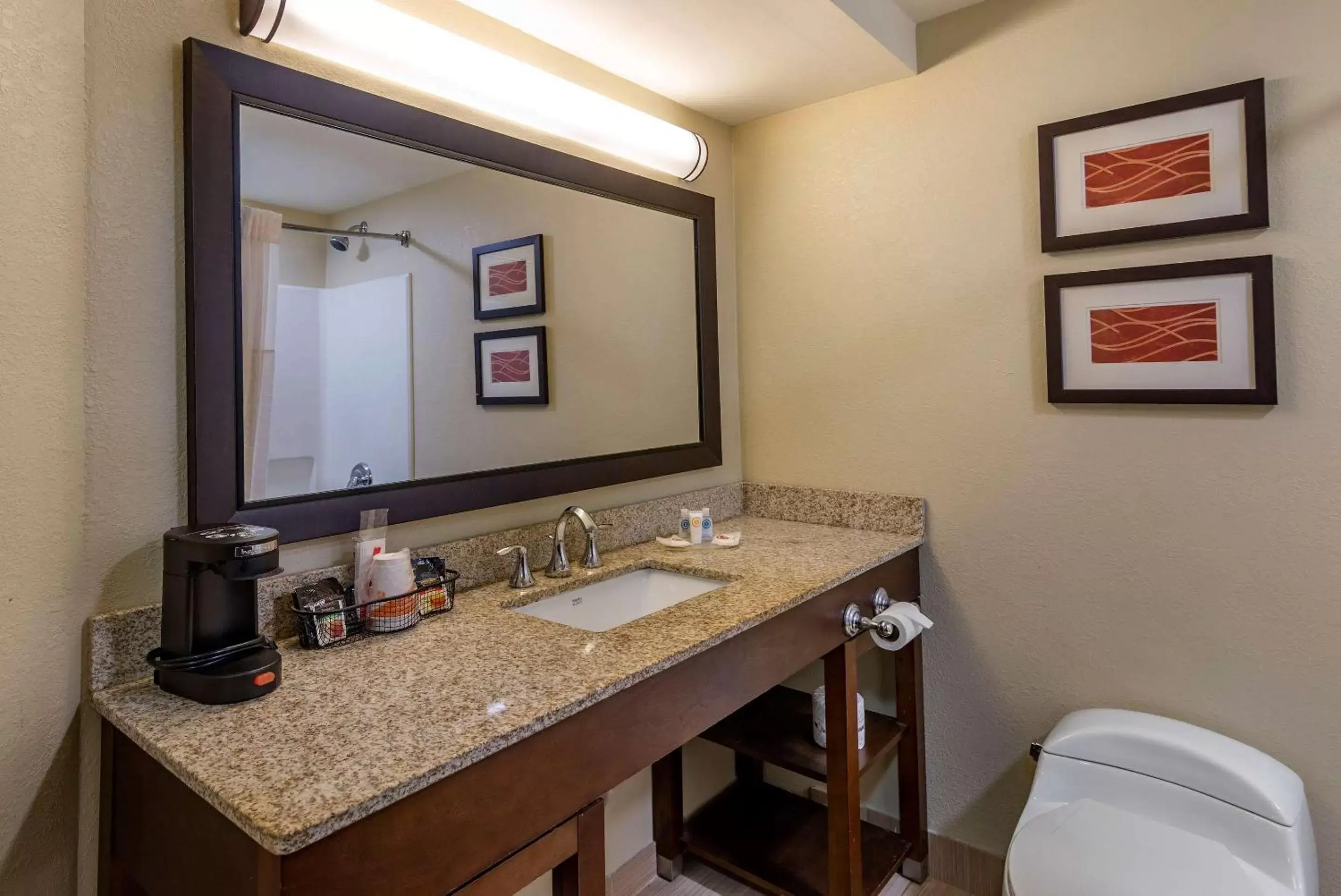 Bathroom in Comfort Inn Opelika - Auburn