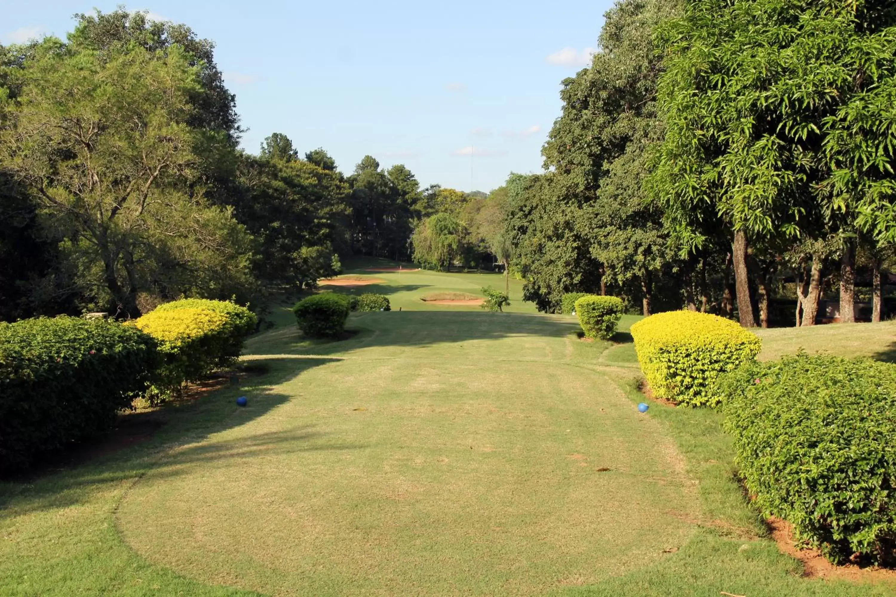 Golfcourse, Garden in Resort Yacht Y Golf Club Paraguayo