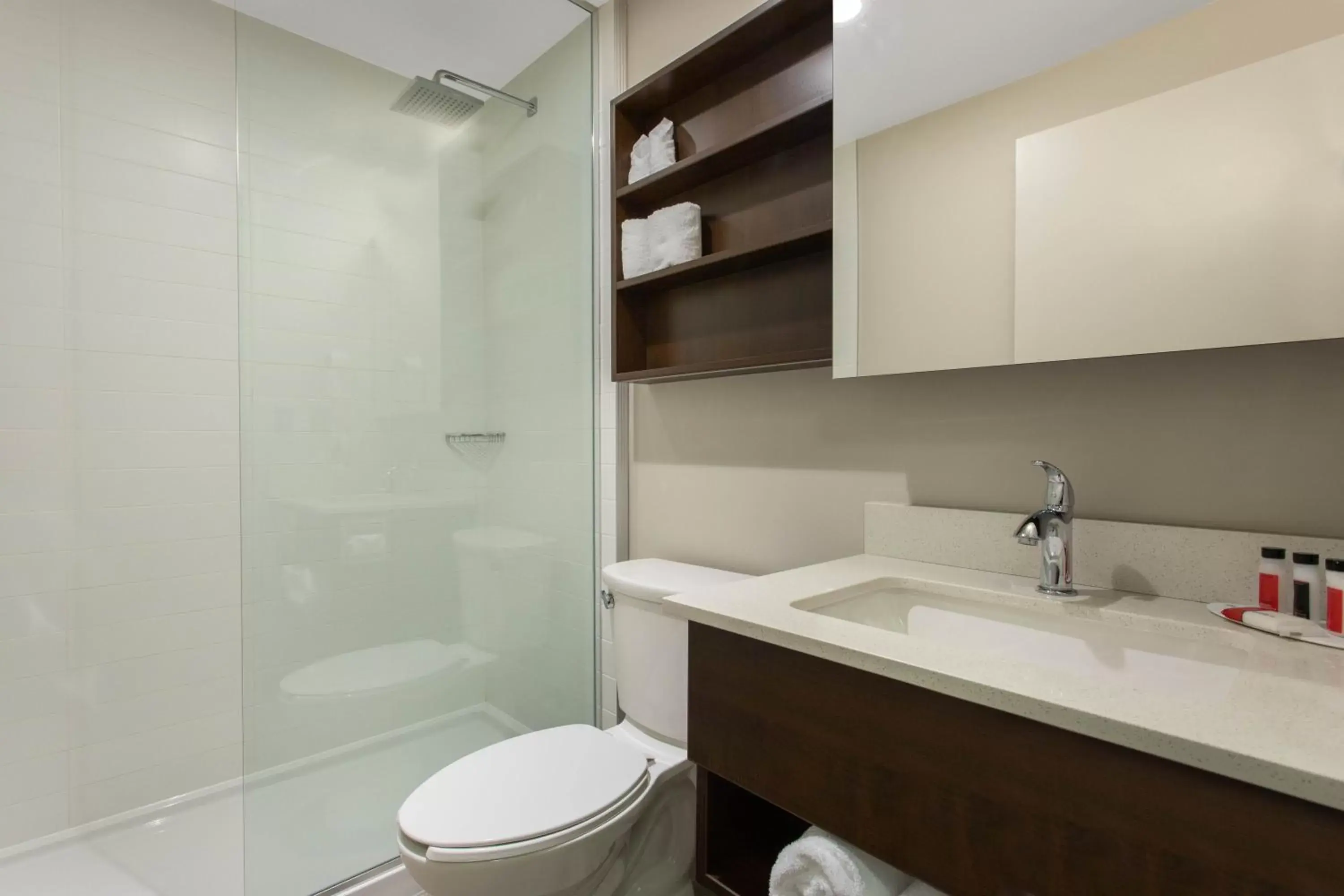 Bathroom in Microtel Inn & Suites by Wyndham Portage La Prairie