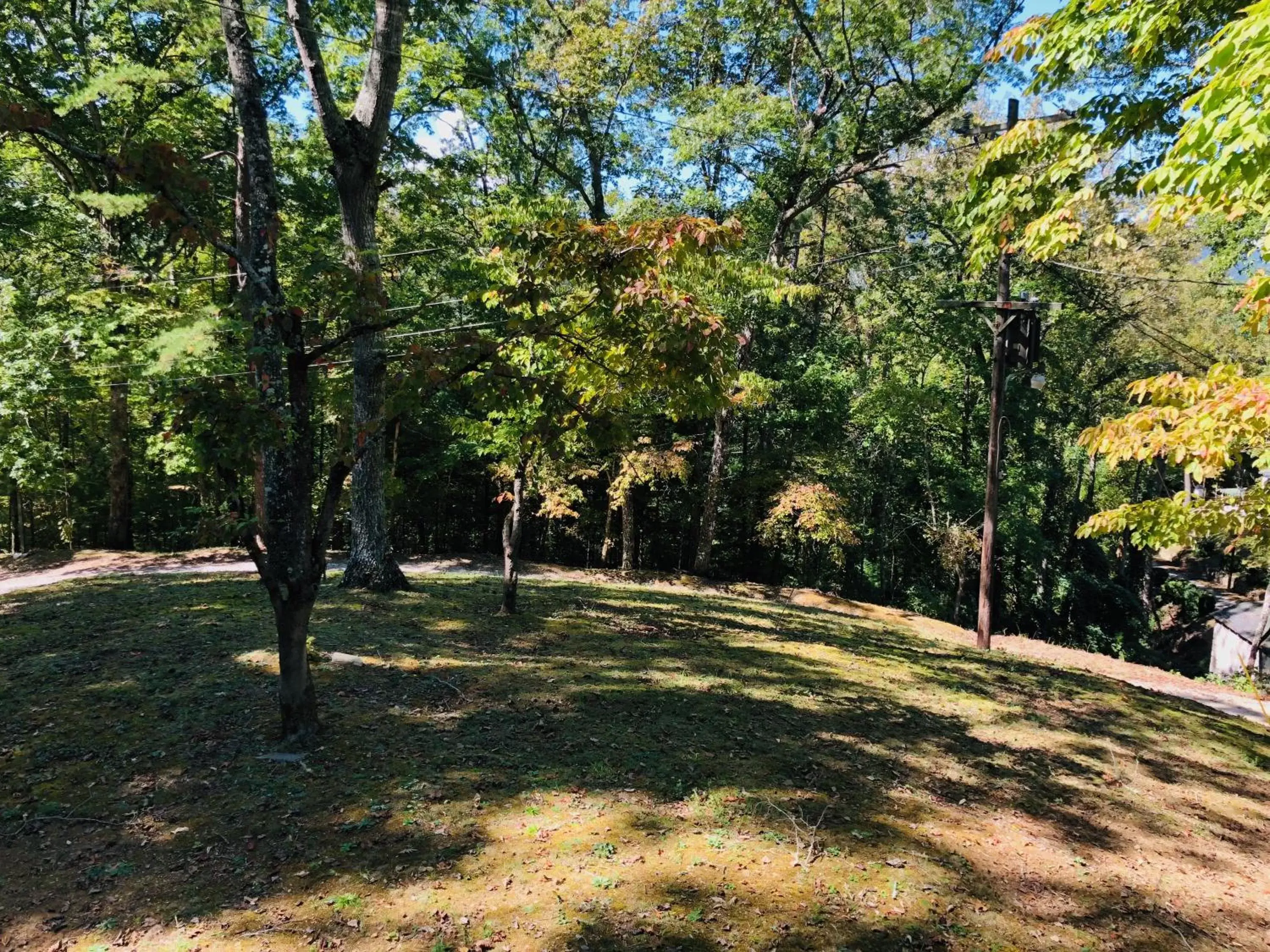 Natural landscape, Garden in Nantahala Village