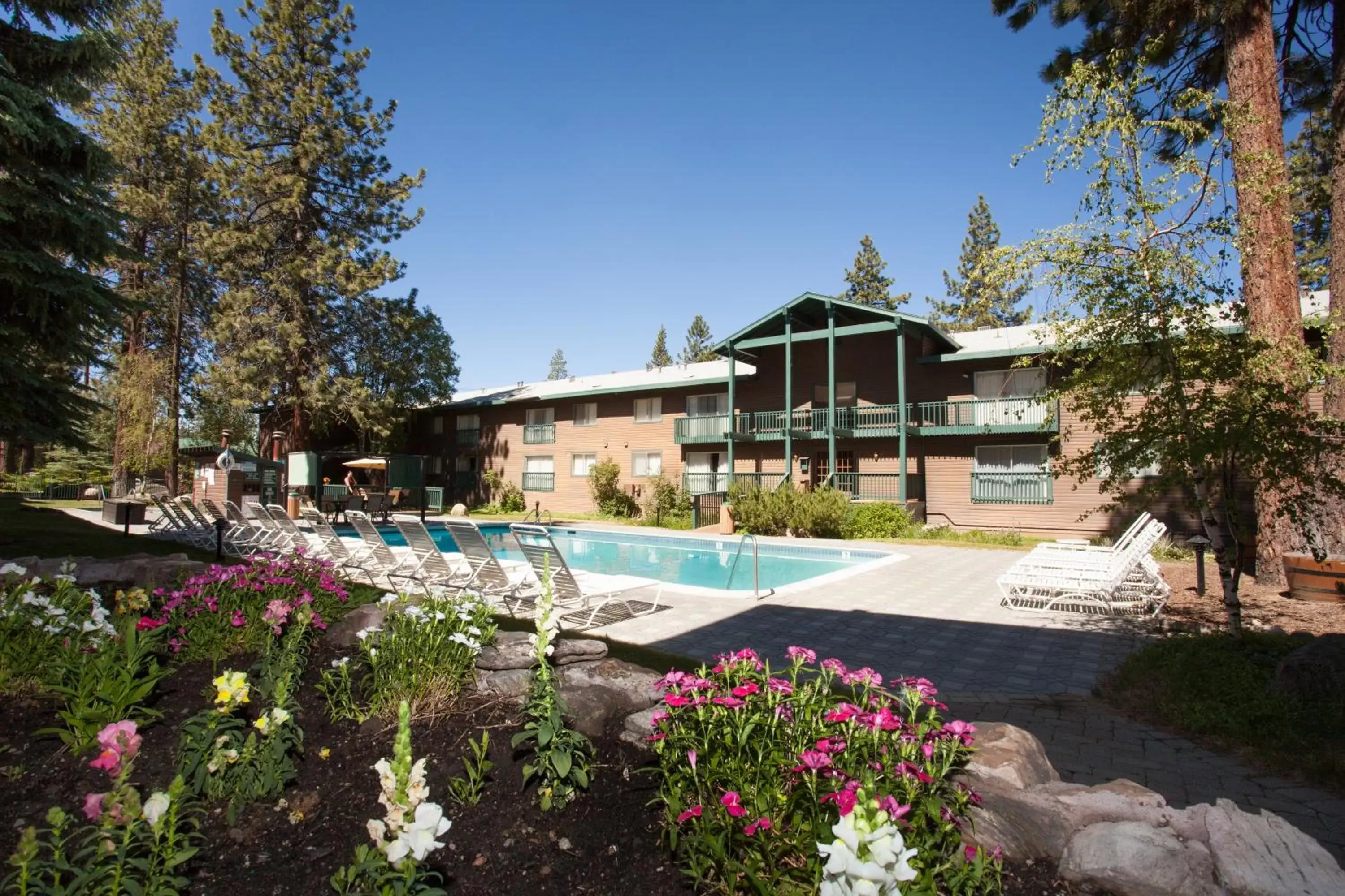 Swimming pool, Property Building in Forest Suites Resort at the Heavenly Village