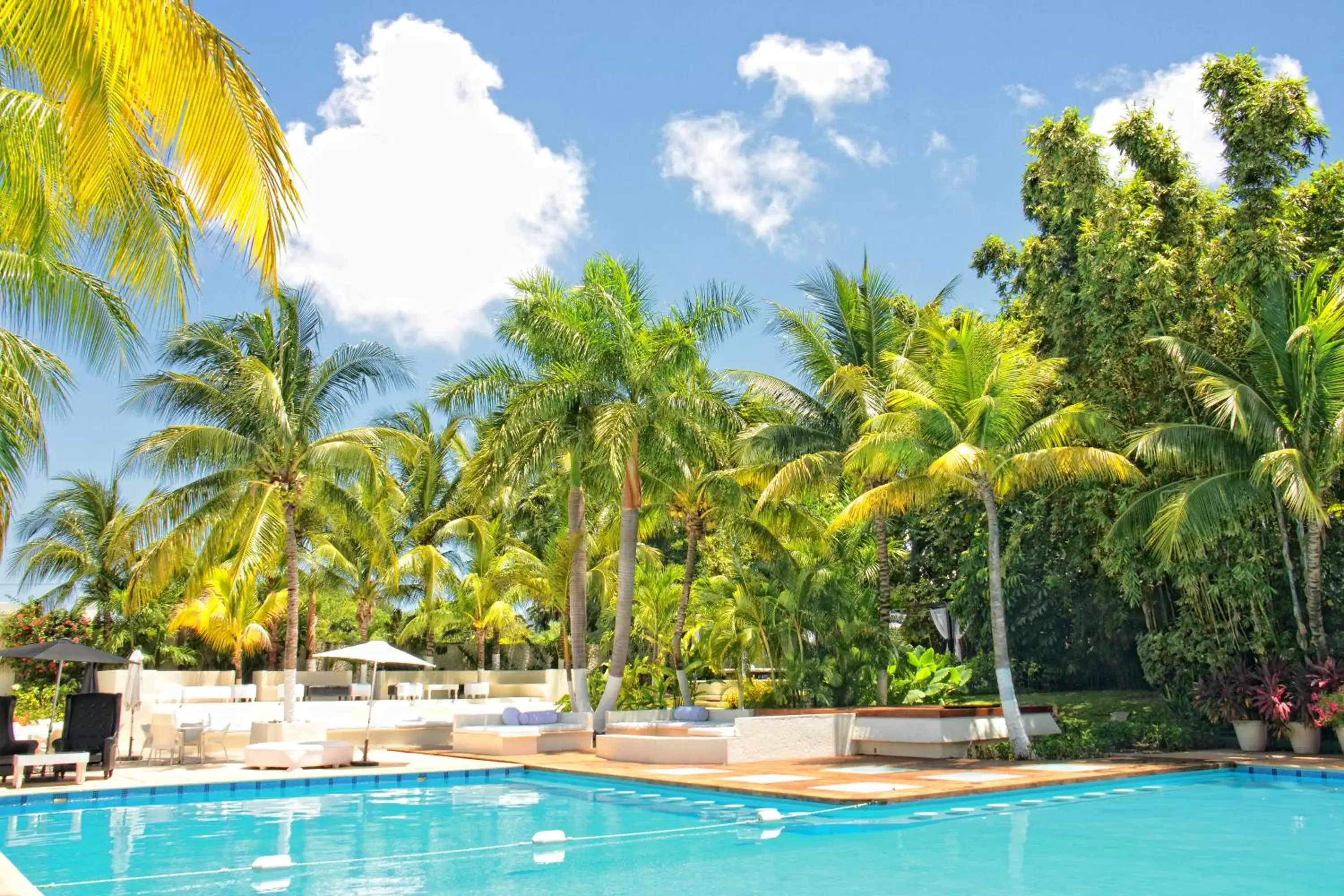 Swimming Pool in Oh! Cancun - The Urban Oasis