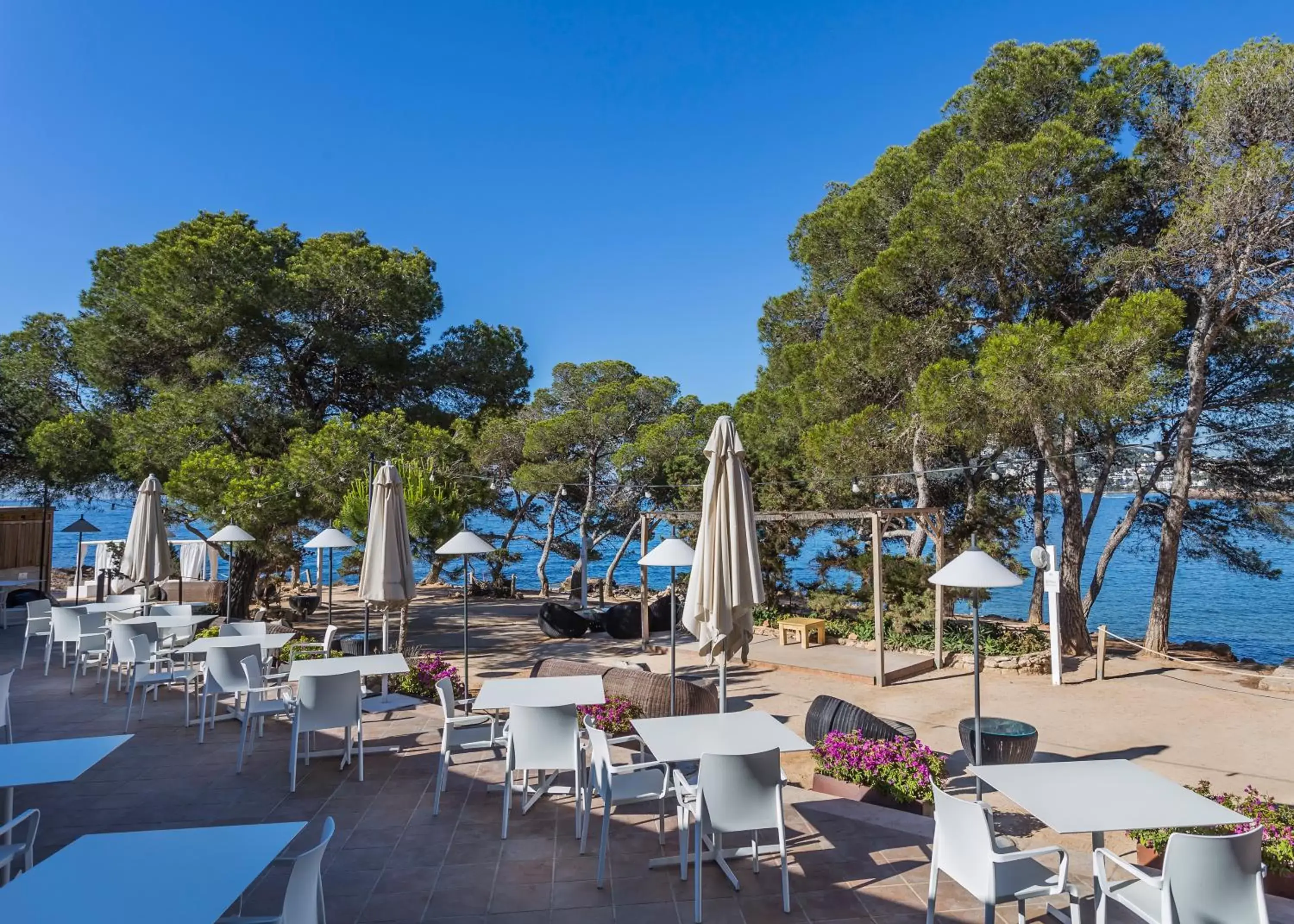 Restaurant/Places to Eat in Catalonia Royal Ses Estaques-Adults Only