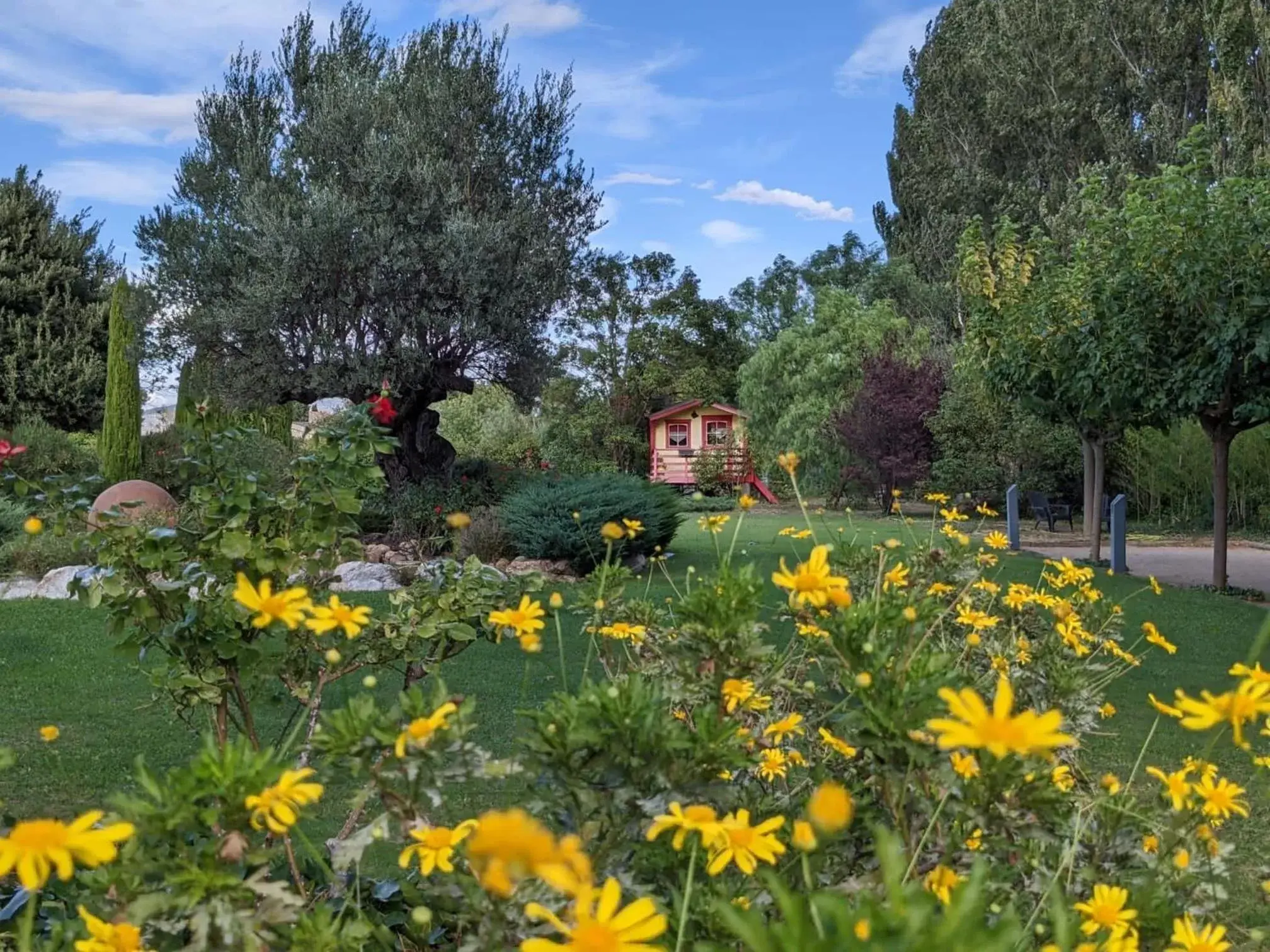 Garden in MAS TRAMONTANE chambres d'hôtes avec parc arboré & piscine