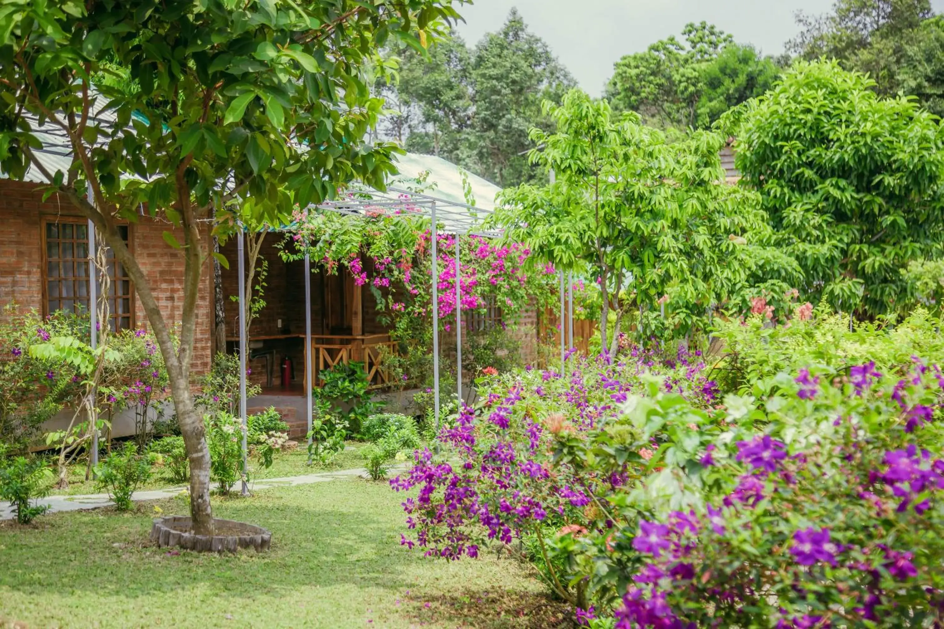 Garden in Phu Quoc Valley Sen Bungalow