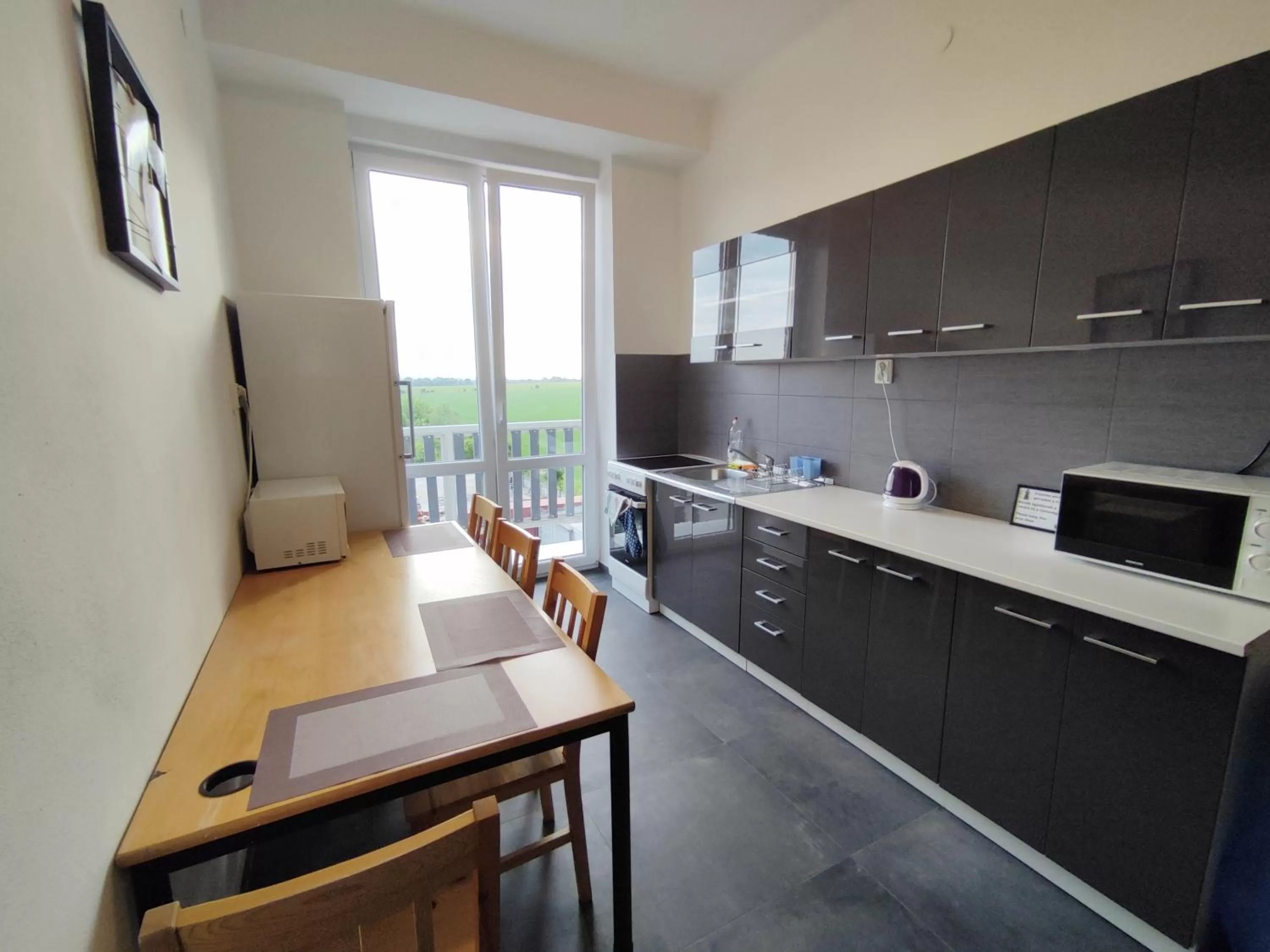 Kitchen or kitchenette in Hotel Slobi