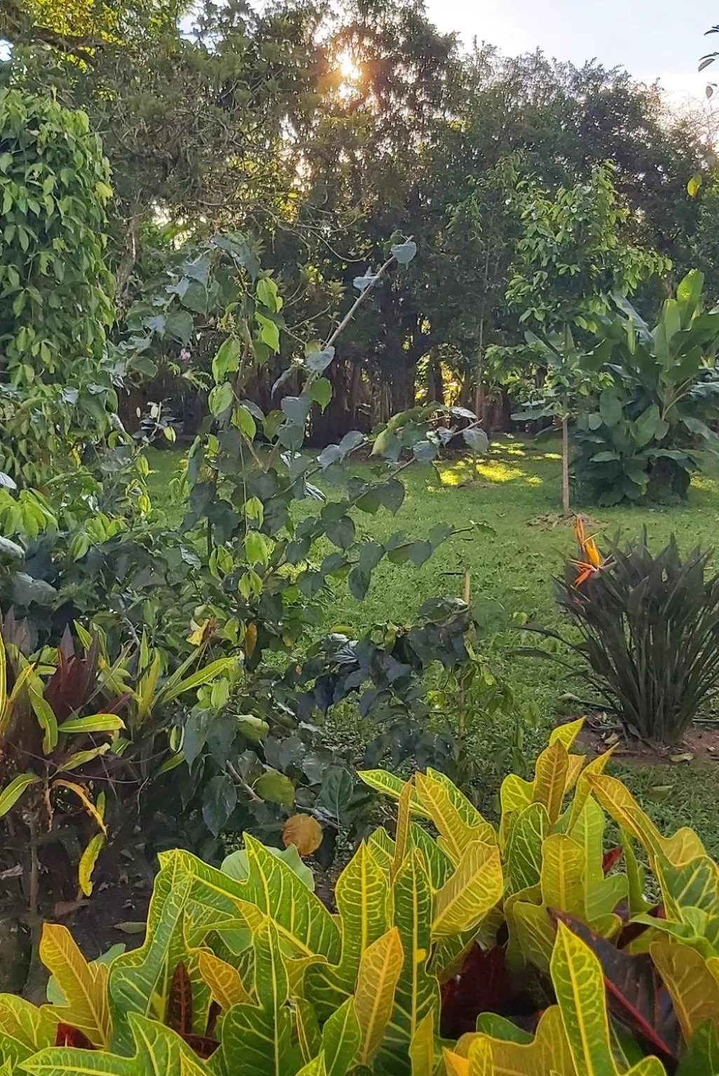 Natural landscape in Balsora Hotel Boutique