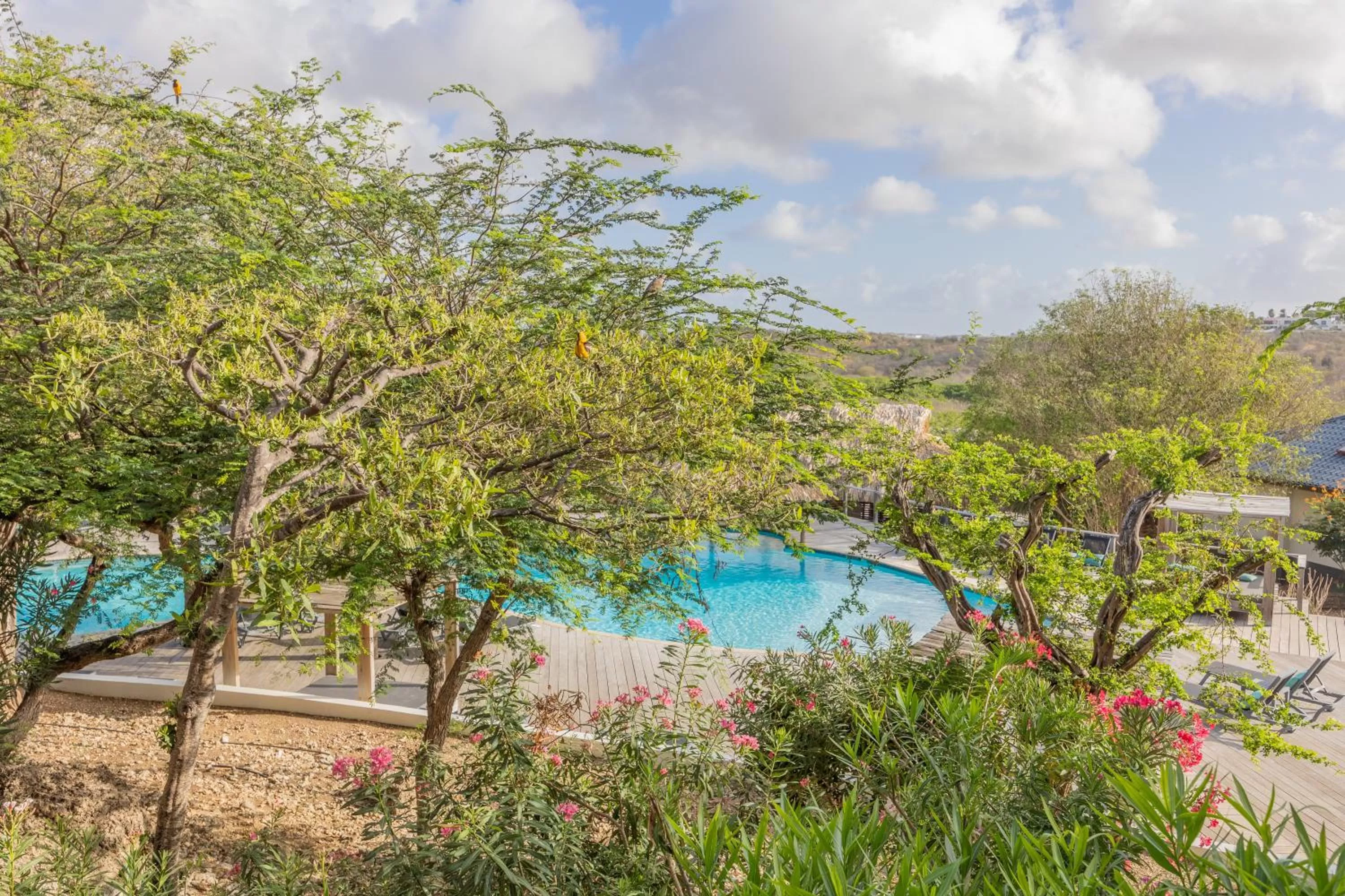 Garden in Morena Resort