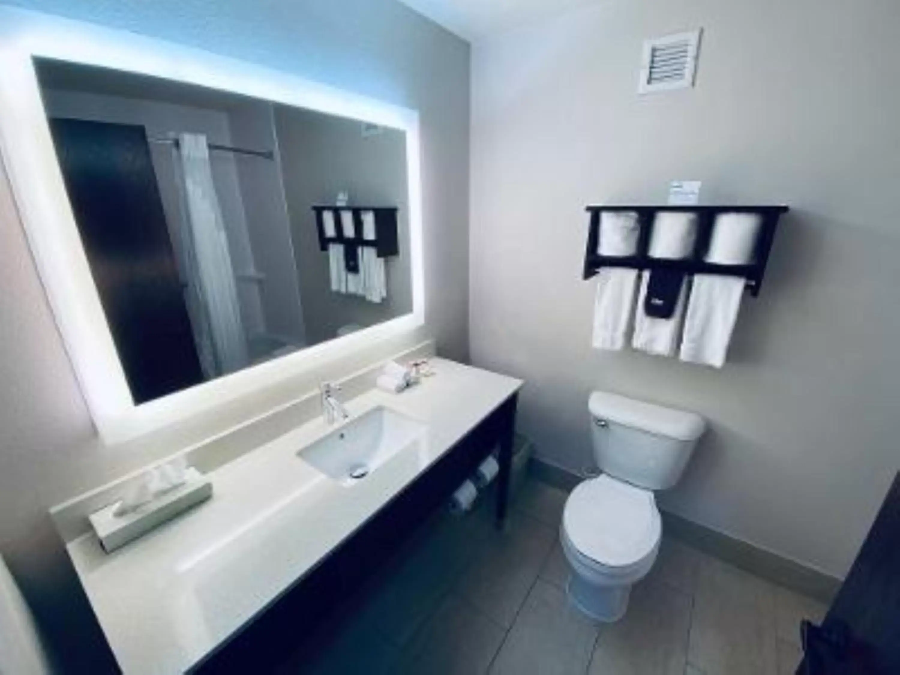 Bathroom in Holiday Inn Express Hotel & Suites- Gadsden, an IHG Hotel