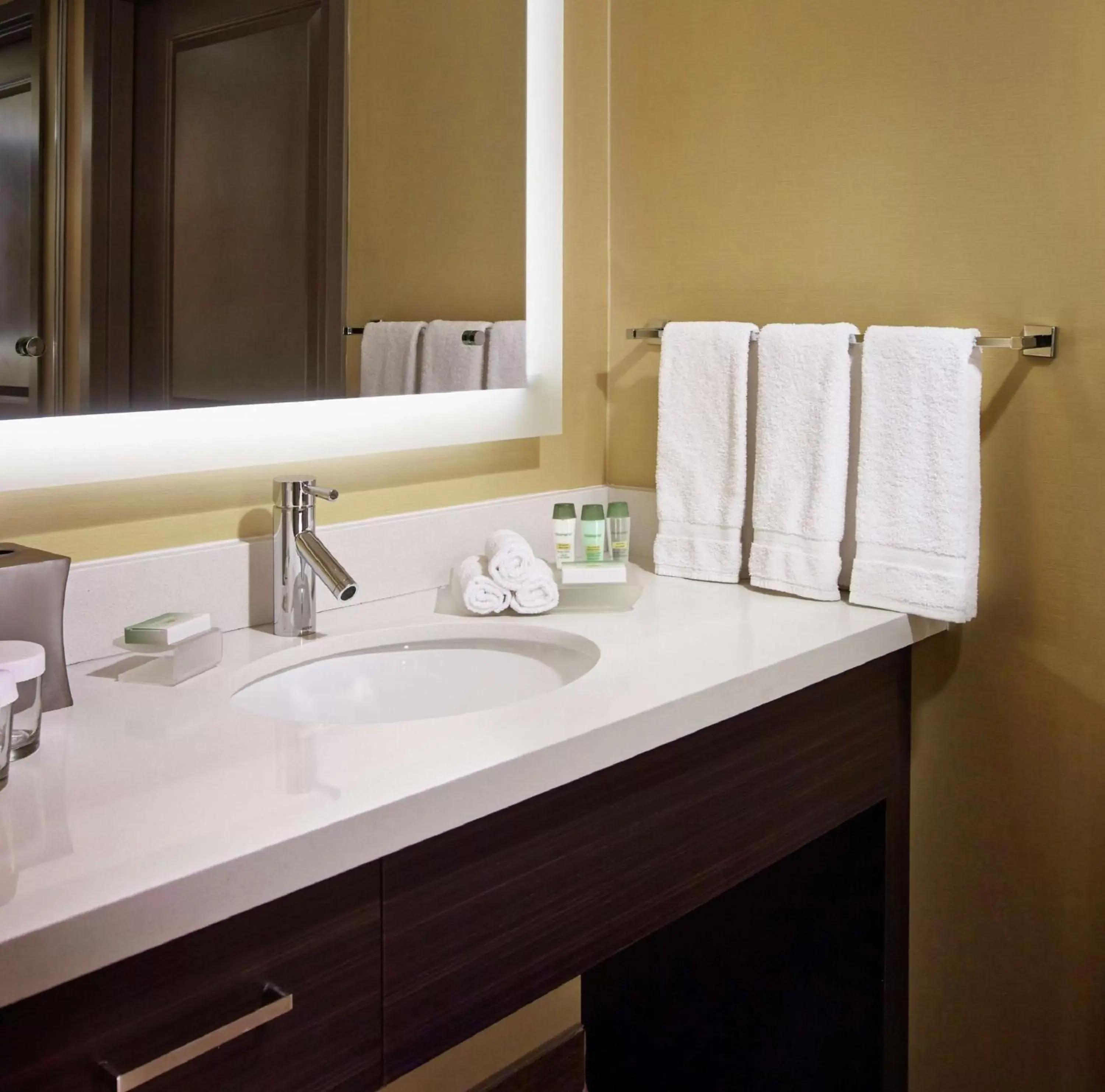 Bathroom in Homewood Suites by Hilton Hamilton