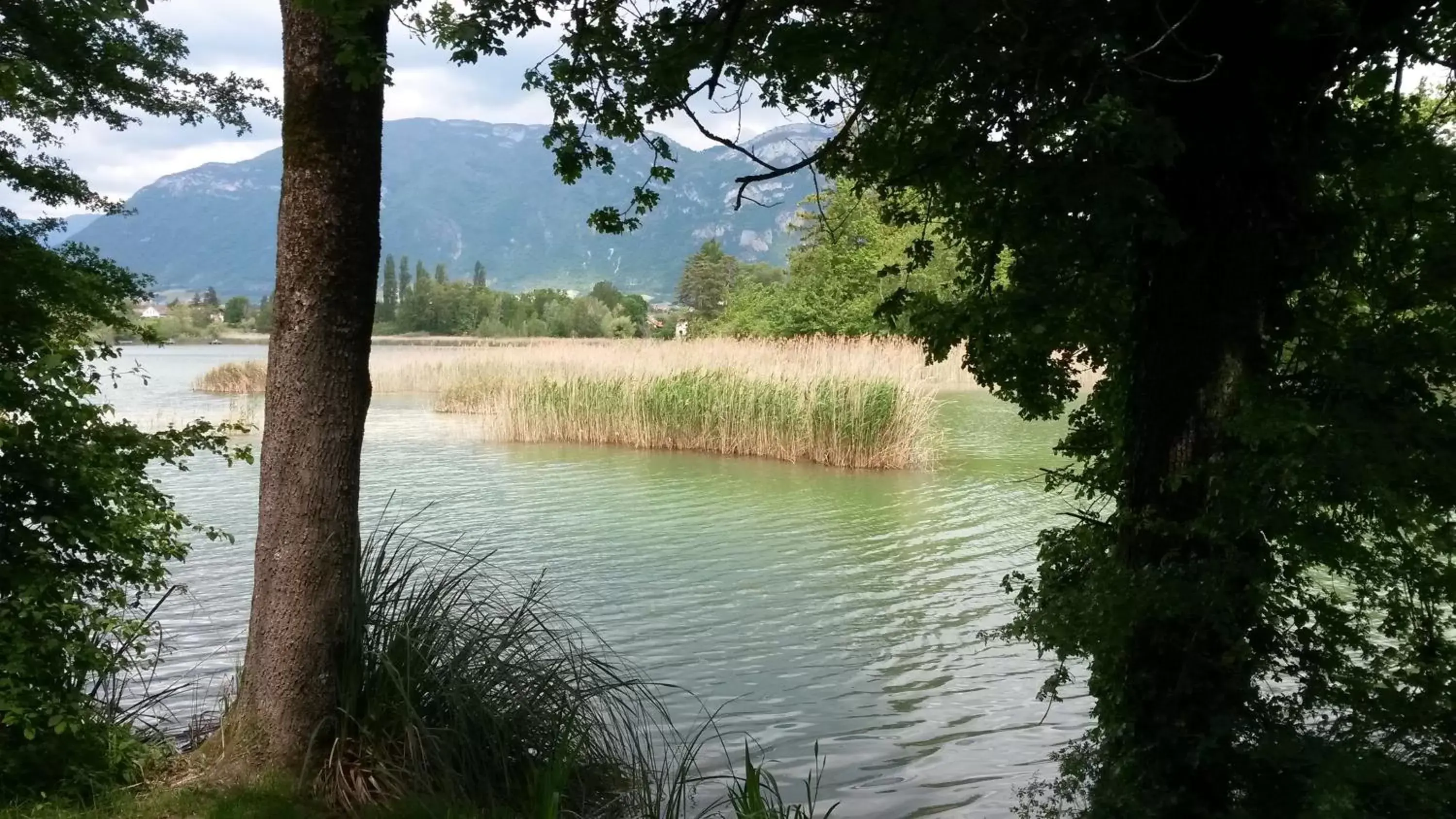 Natural Landscape in Les Tilleuls