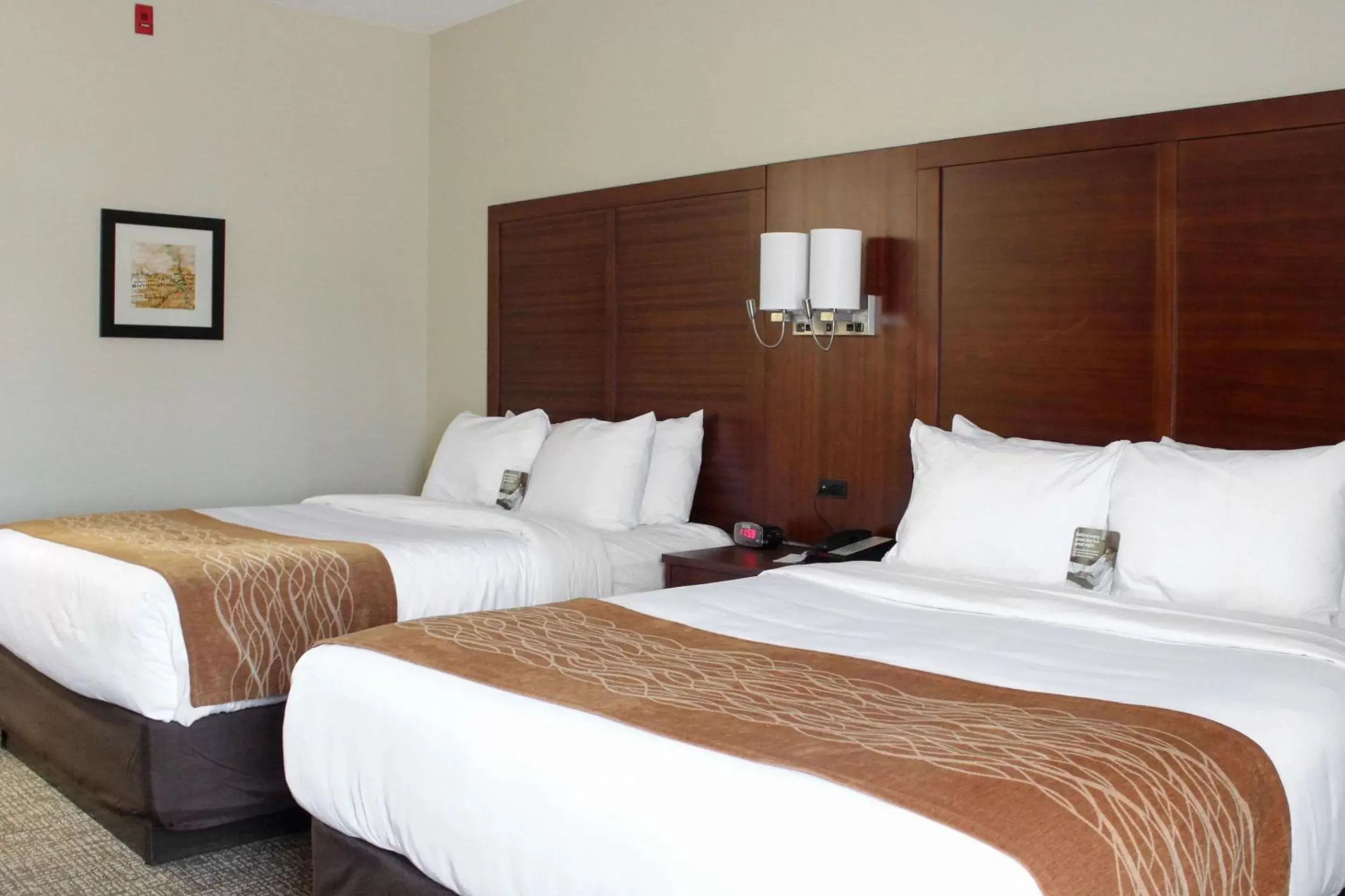 Photo of the whole room, Bed in Comfort Inn & Suites