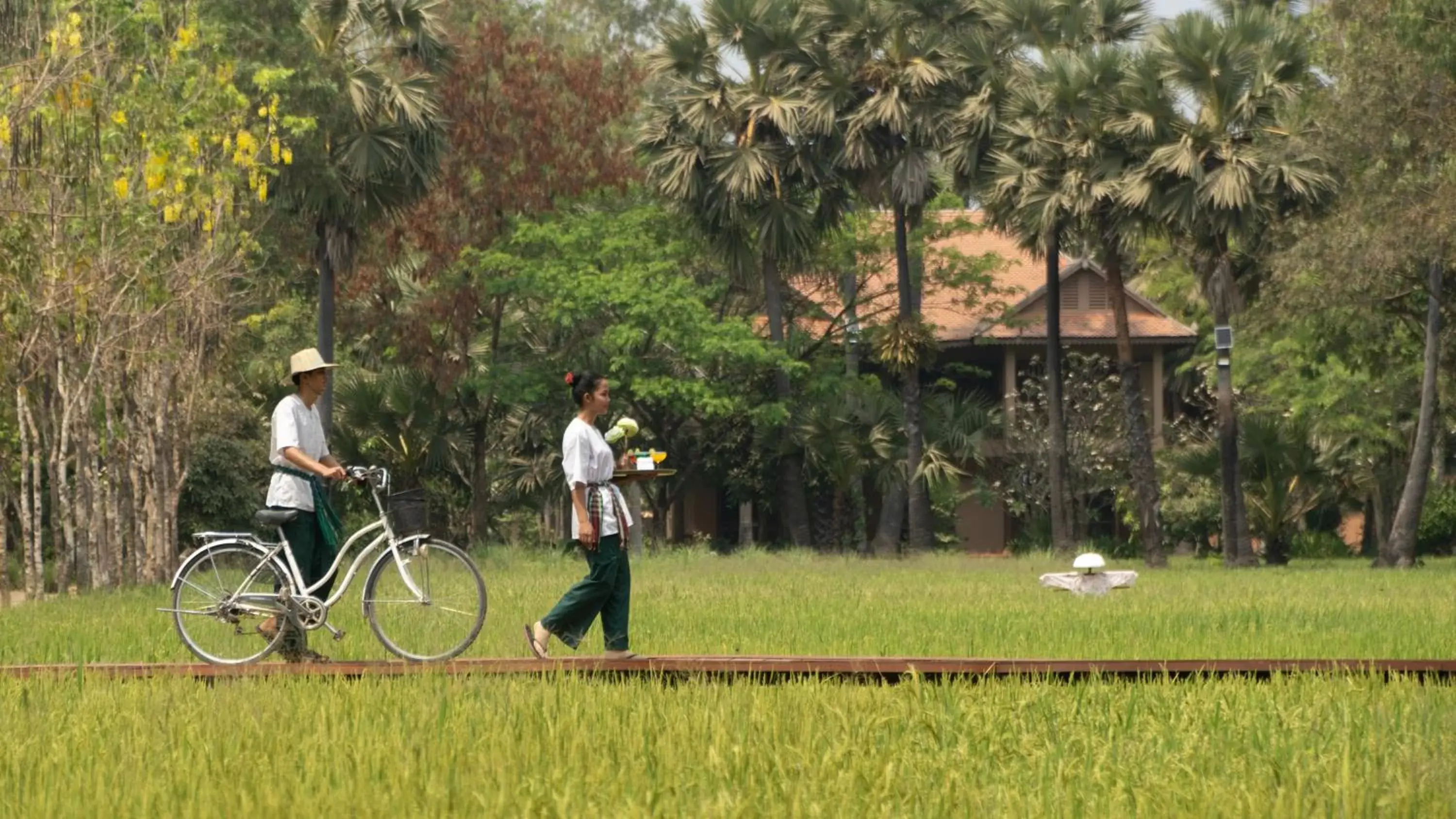 Private One-Bedroom Home - single occupancy - Daily Afternoon Tea + Personal Butler in Mane Family Vacation Private One-Bedroom Home - single occupancy - Daily Afternoon Tea + Personal Butler in Mane Family Vacation