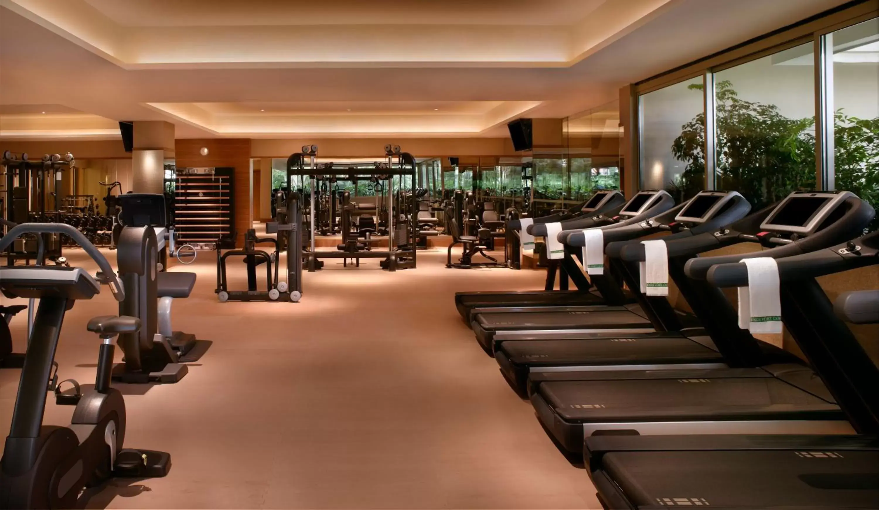 Fitness centre/facilities, Fitness Center/Facilities in Hotel Fort Canning