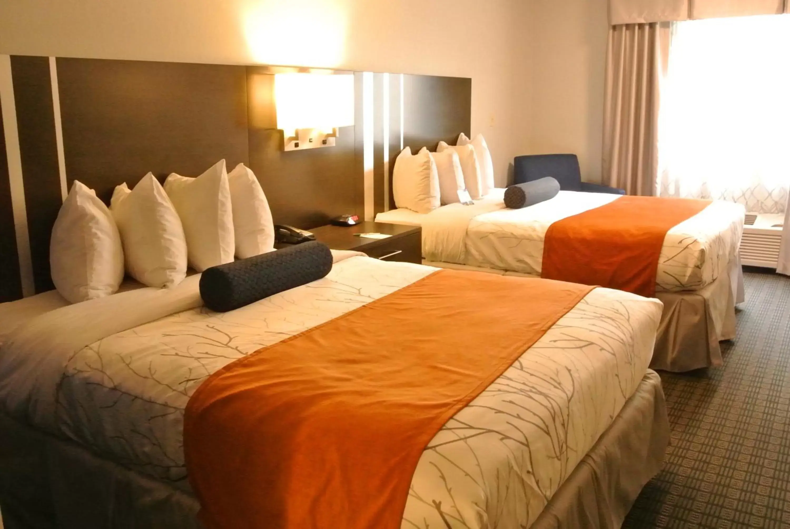 Bed in Guesthouse Inn & Suites Lexington
