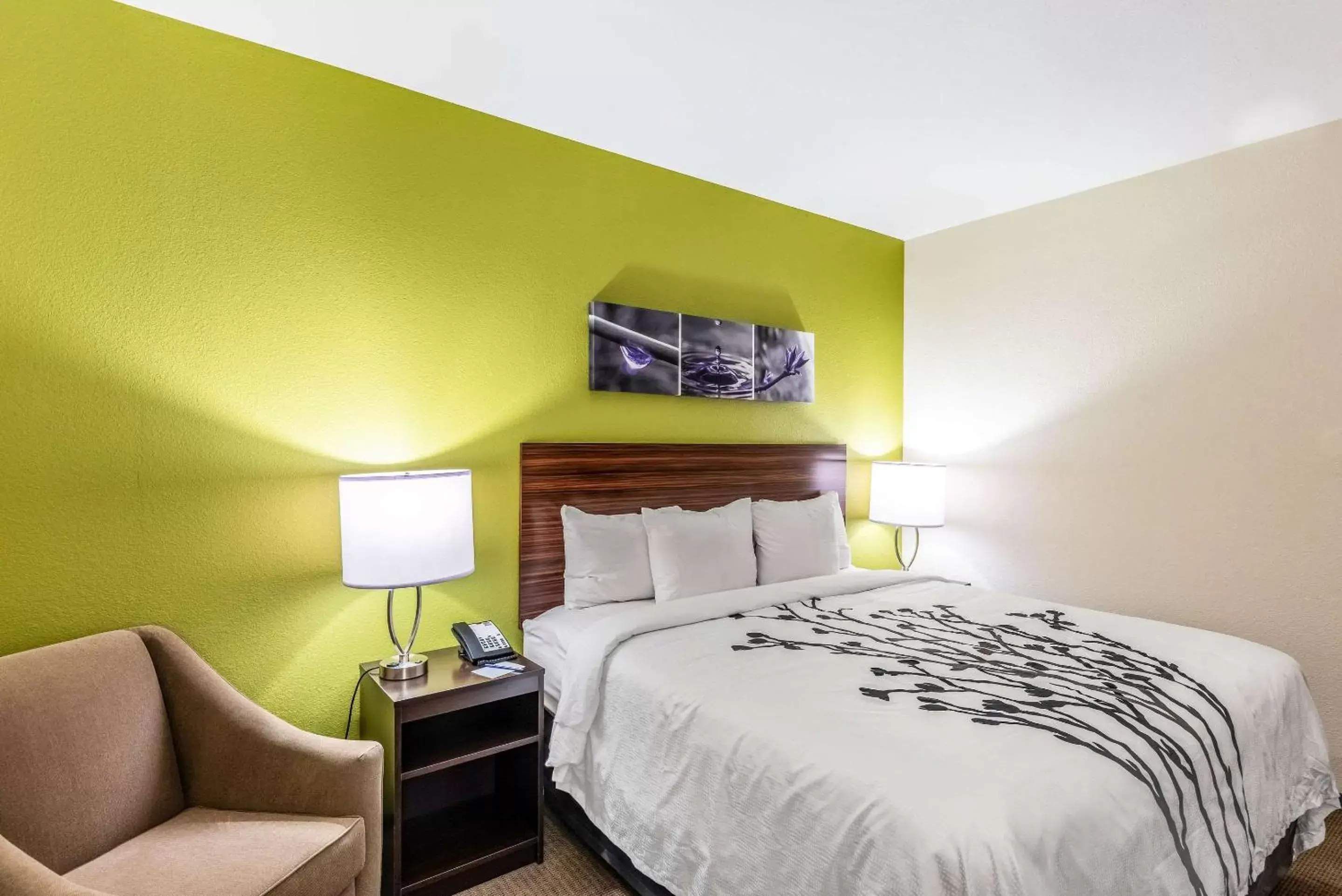 Photo of the whole room, Bed in Sleep Inn & Suites Fort Worth - Fossil Creek