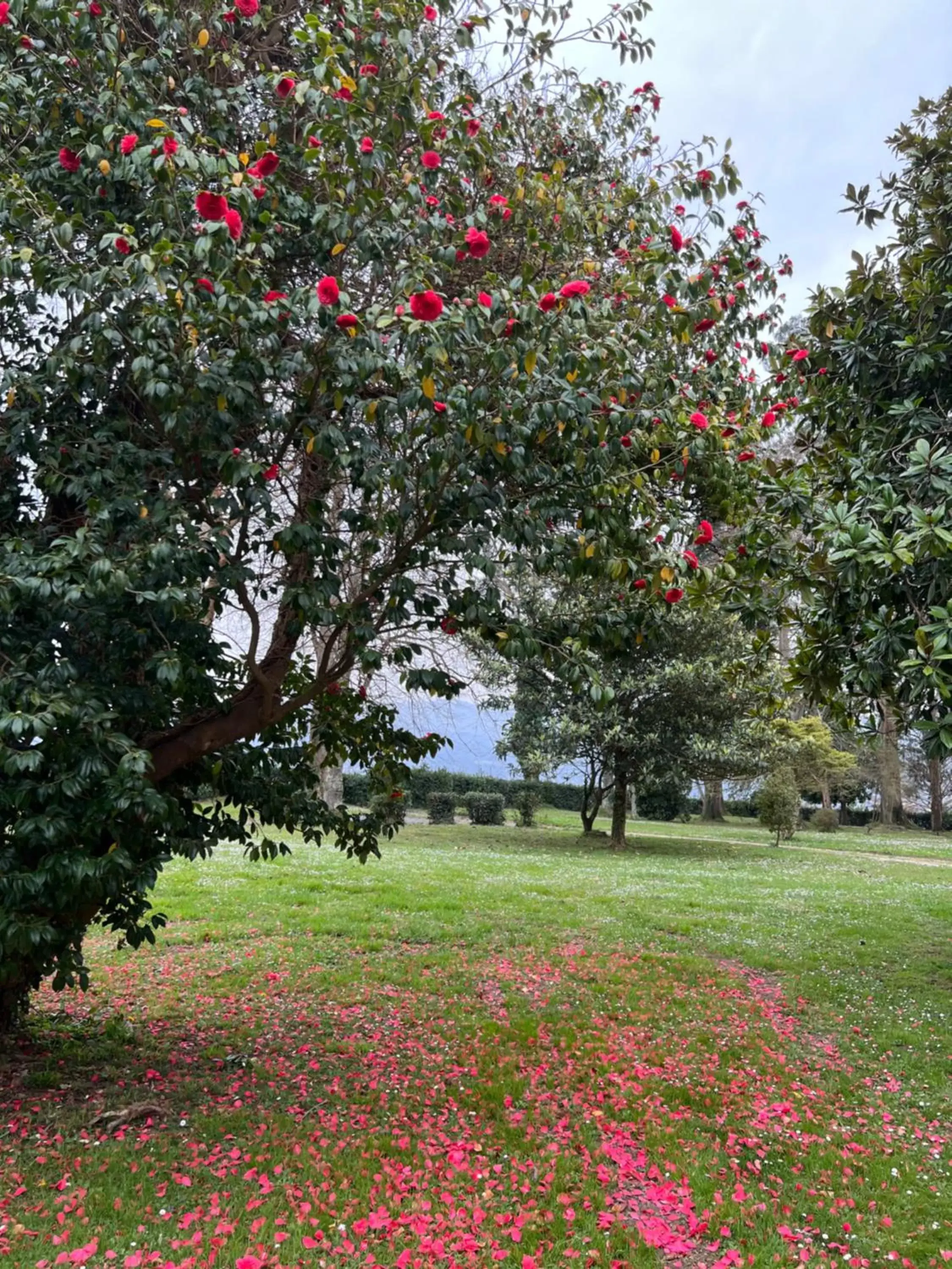 Spring, Garden in HOTEL BOUTIQUE VILLA DEL MARQUÉS