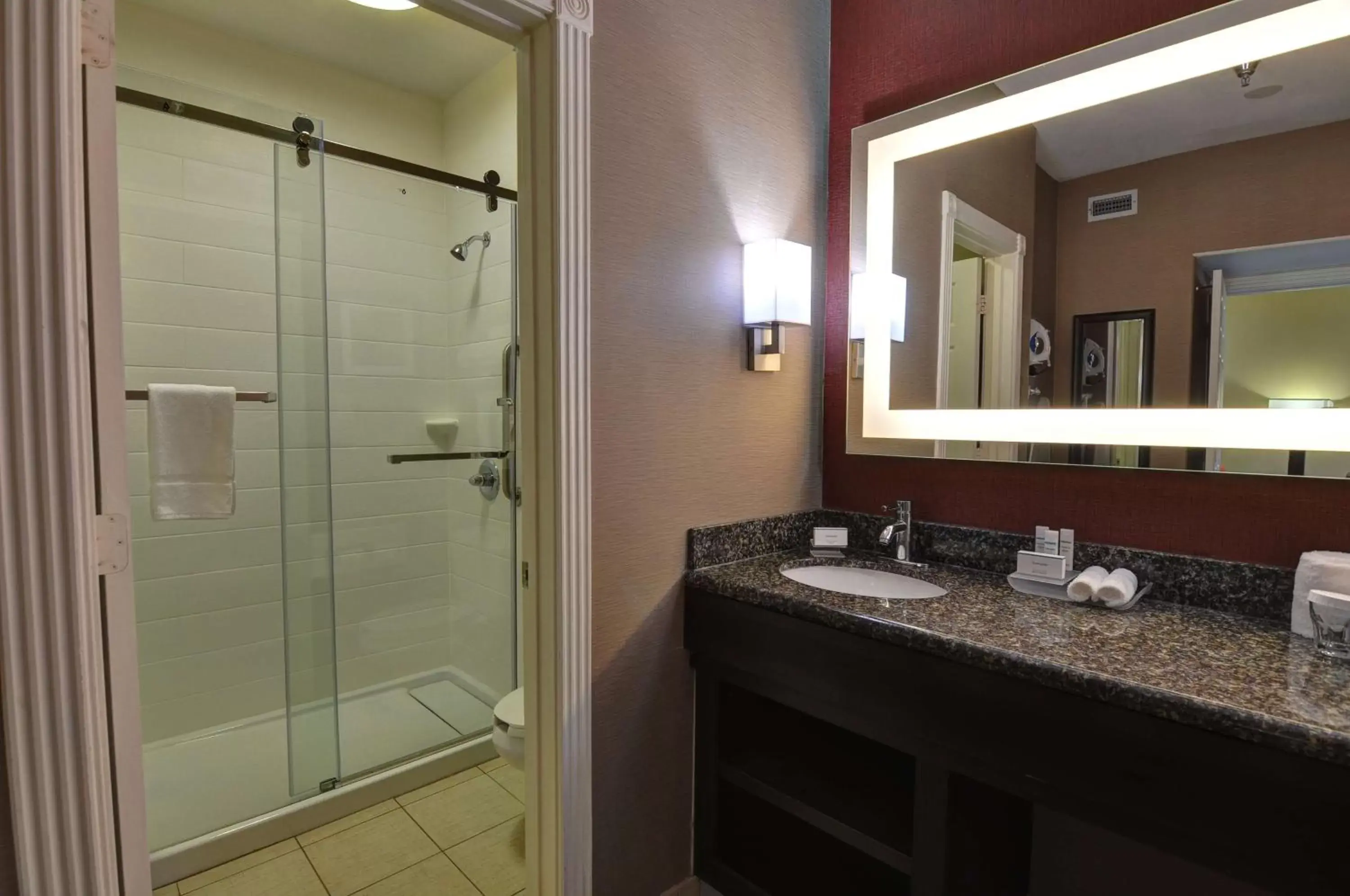 Bathroom in Homewood Suites by Hilton- Longview