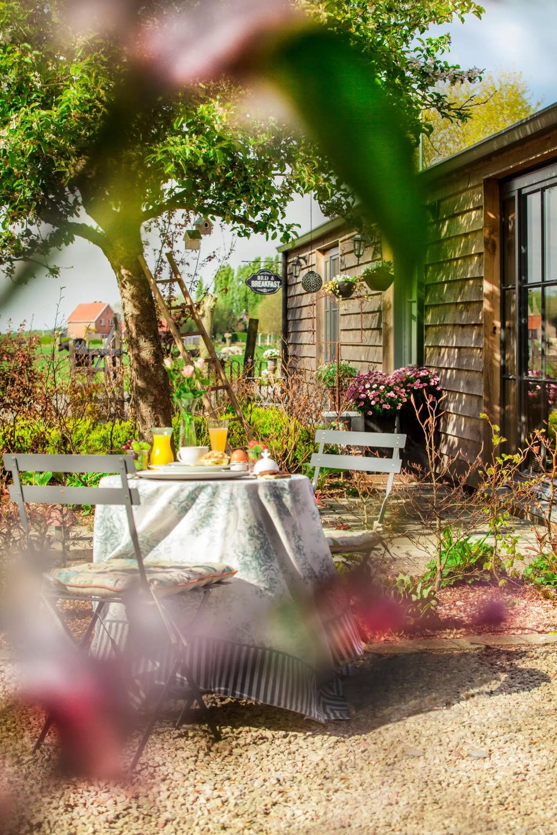 Garden in B&B De Vossenbarm