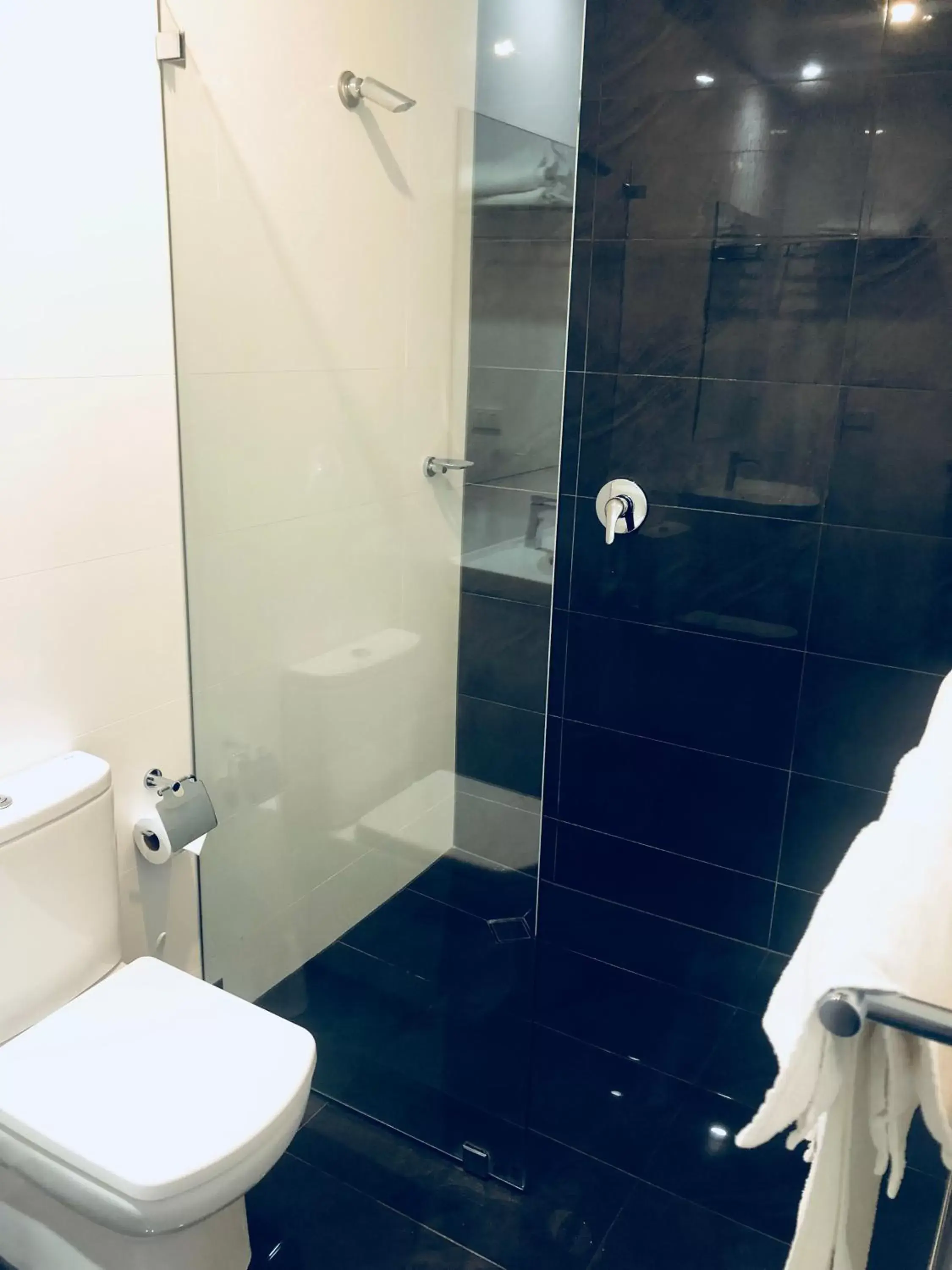 Shower, Bathroom in ibis Styles Broken Hill