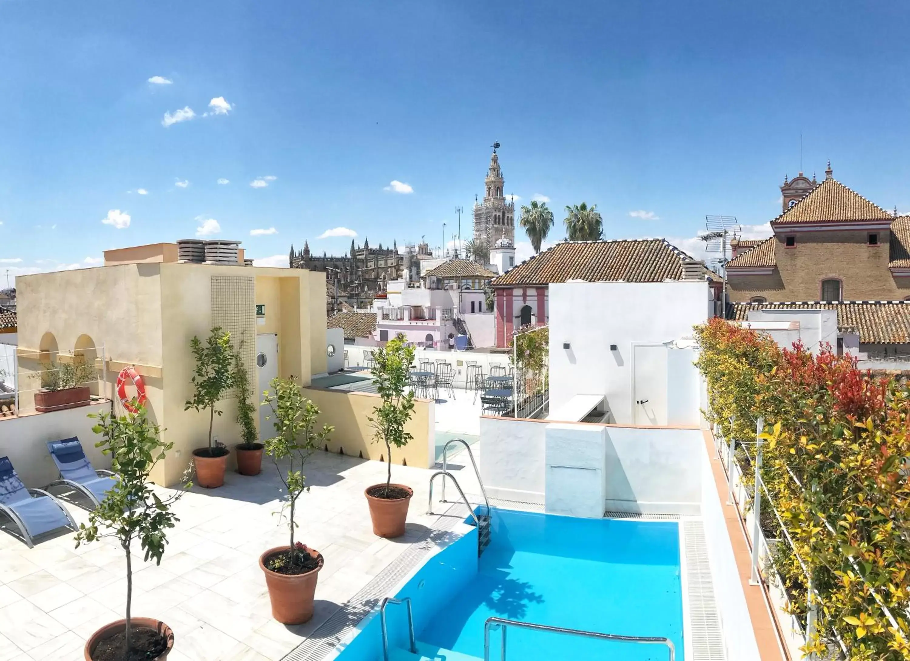 Nearby landmark, Swimming Pool in Halo Boutique Hotel