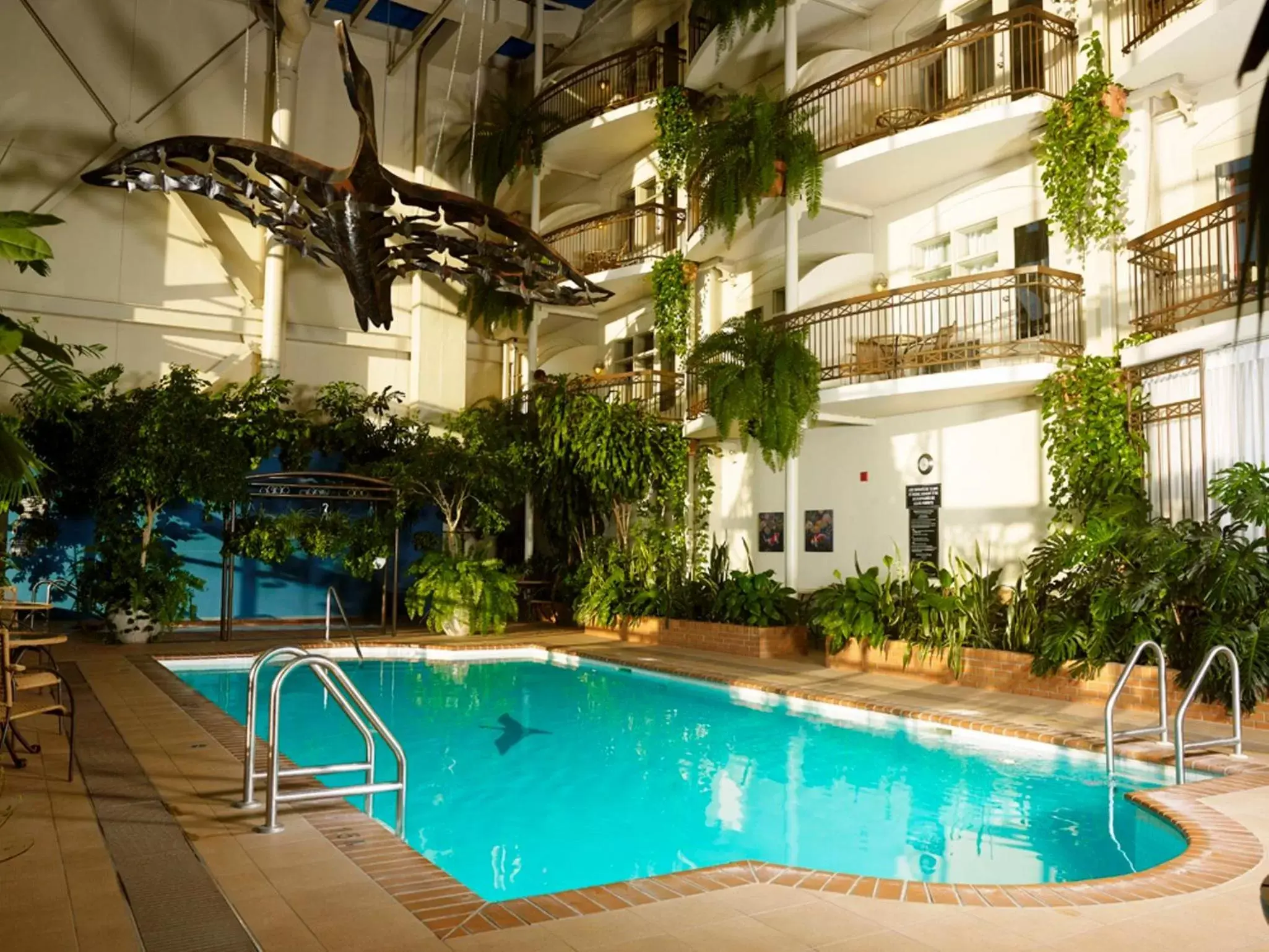 Swimming Pool in Hotel L'Oie des neiges