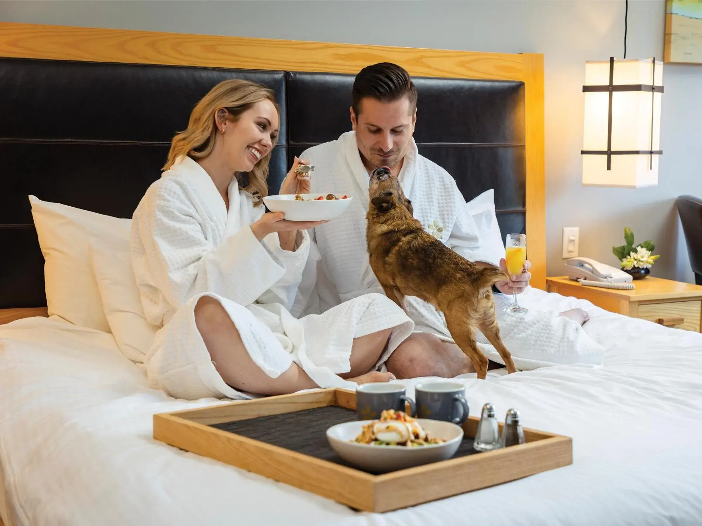 Pets in Brentwood Bay Resort