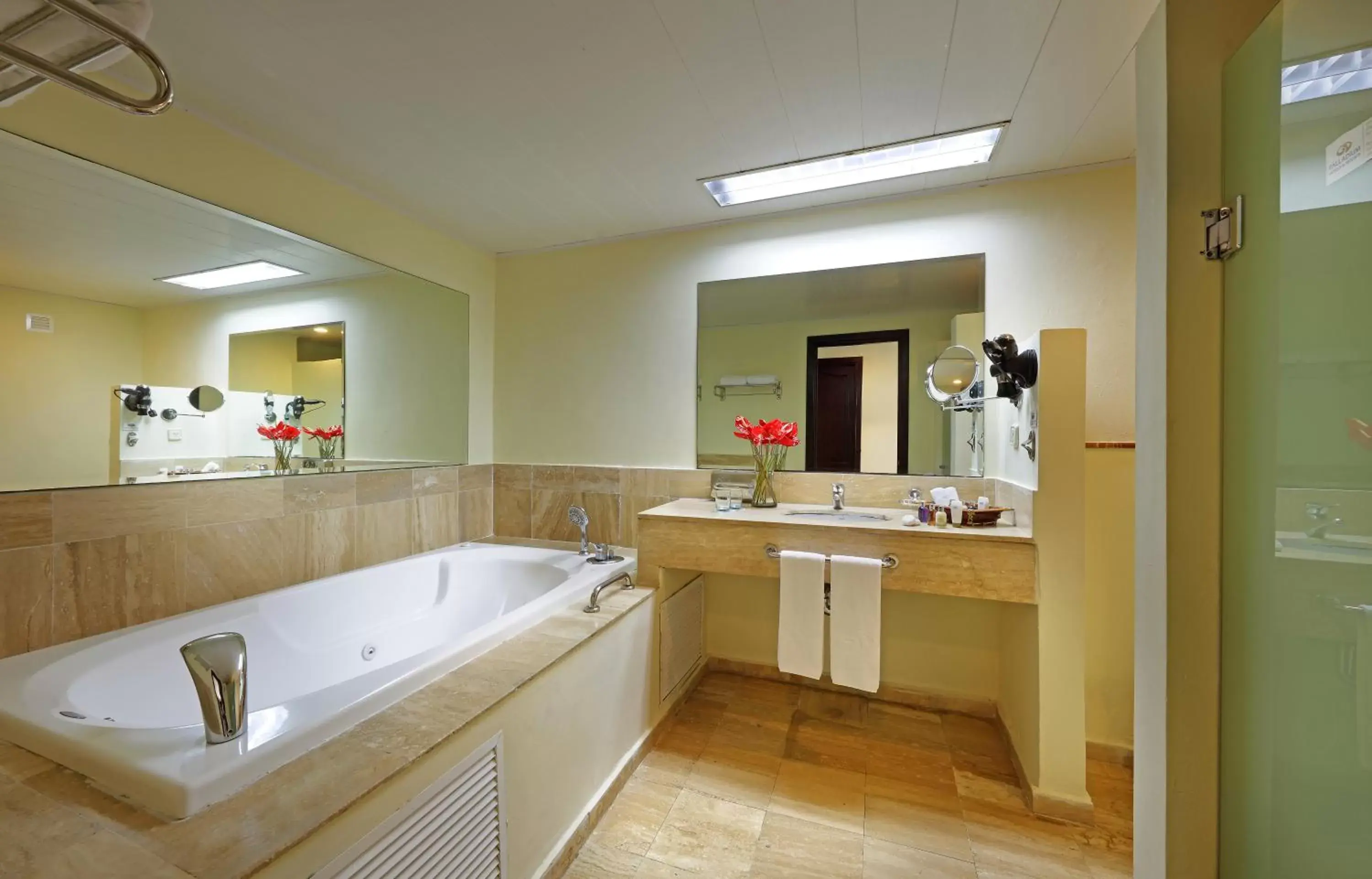 Bathroom, Kitchen/Kitchenette in Grand Palladium Lady Hamilton Resort & Spa - All Inclusive
