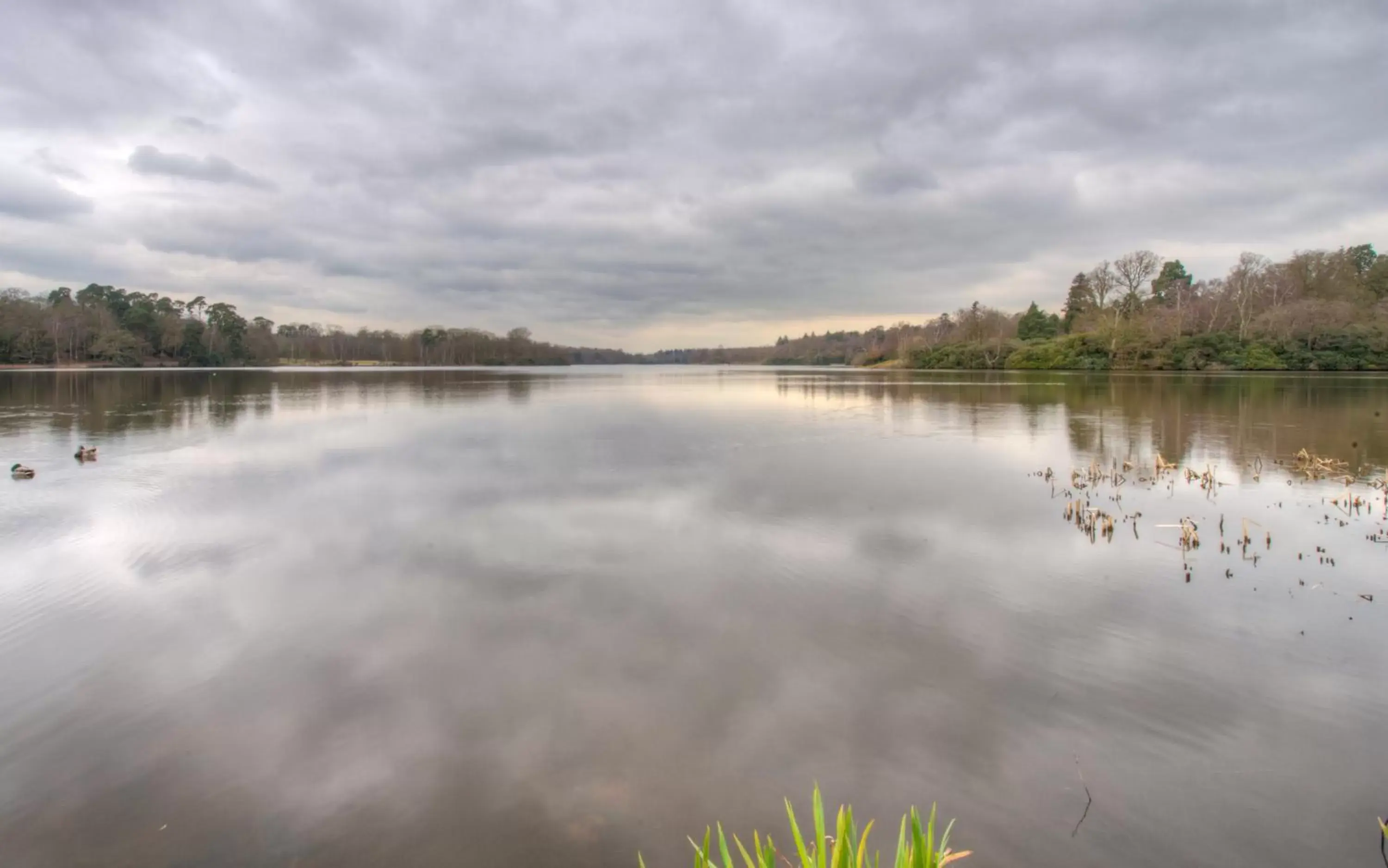 Area and facilities, Lake View in Wheatsheaf Hotel by Chef & Brewer Collection