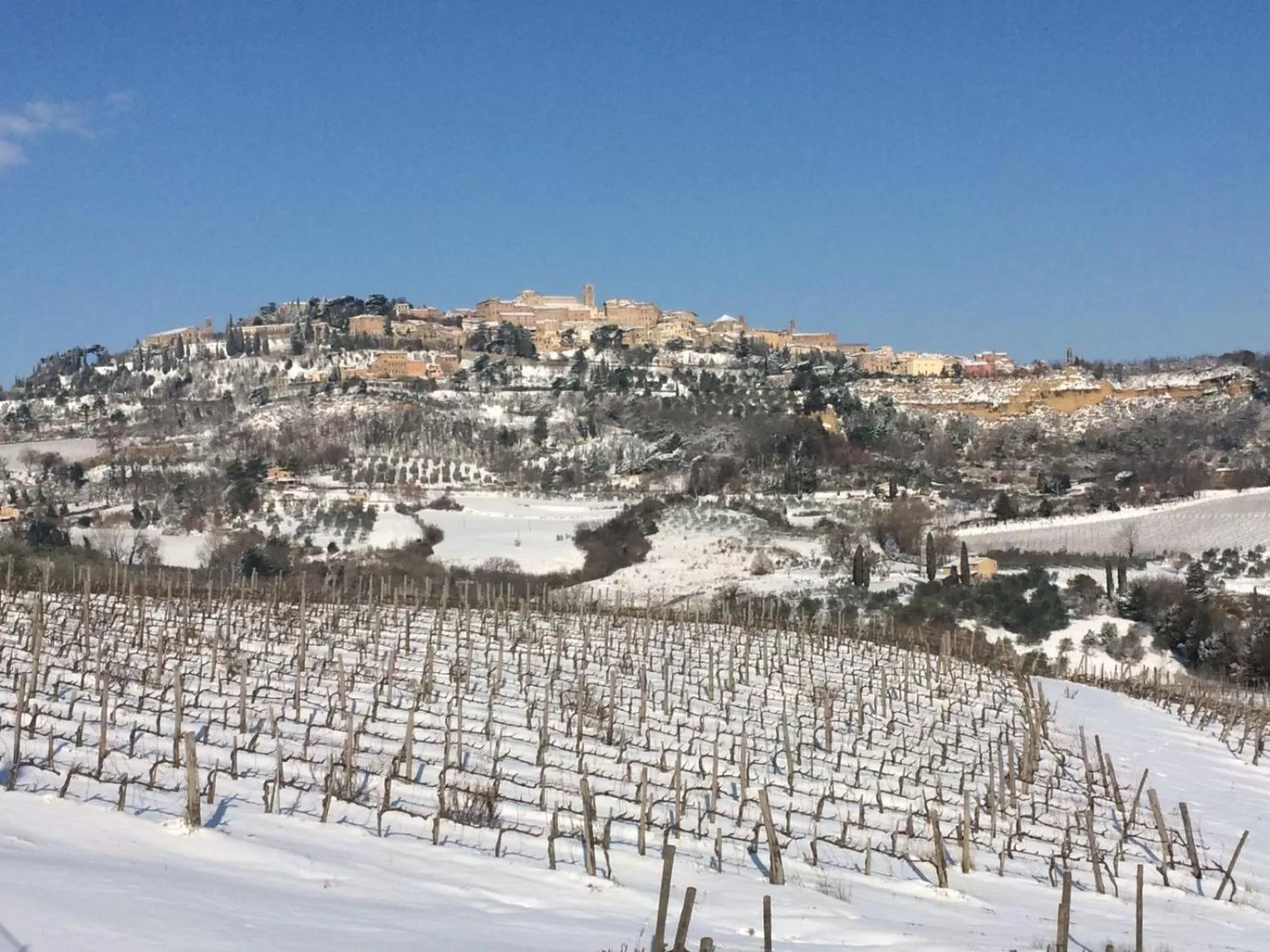 Winter in The Grapevine by MANVI