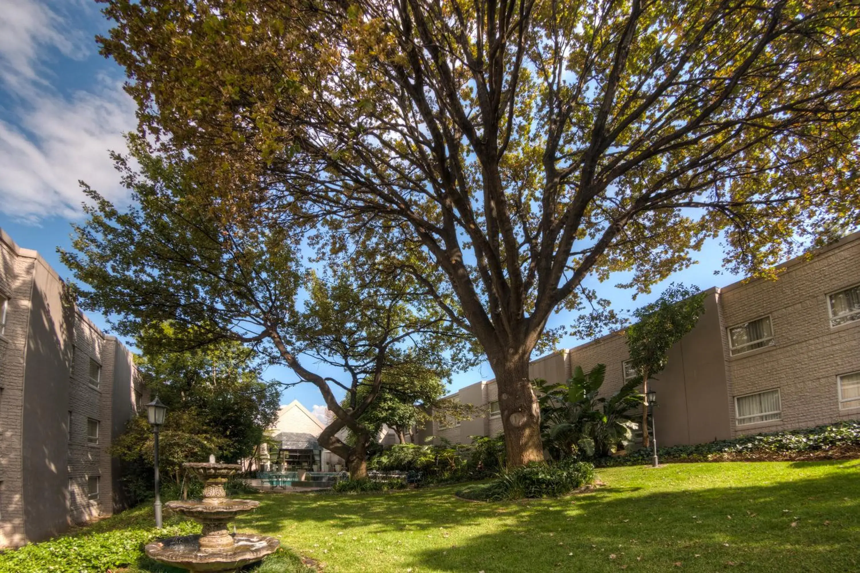 Garden in City Lodge Hotel Sandton, Katherine Street